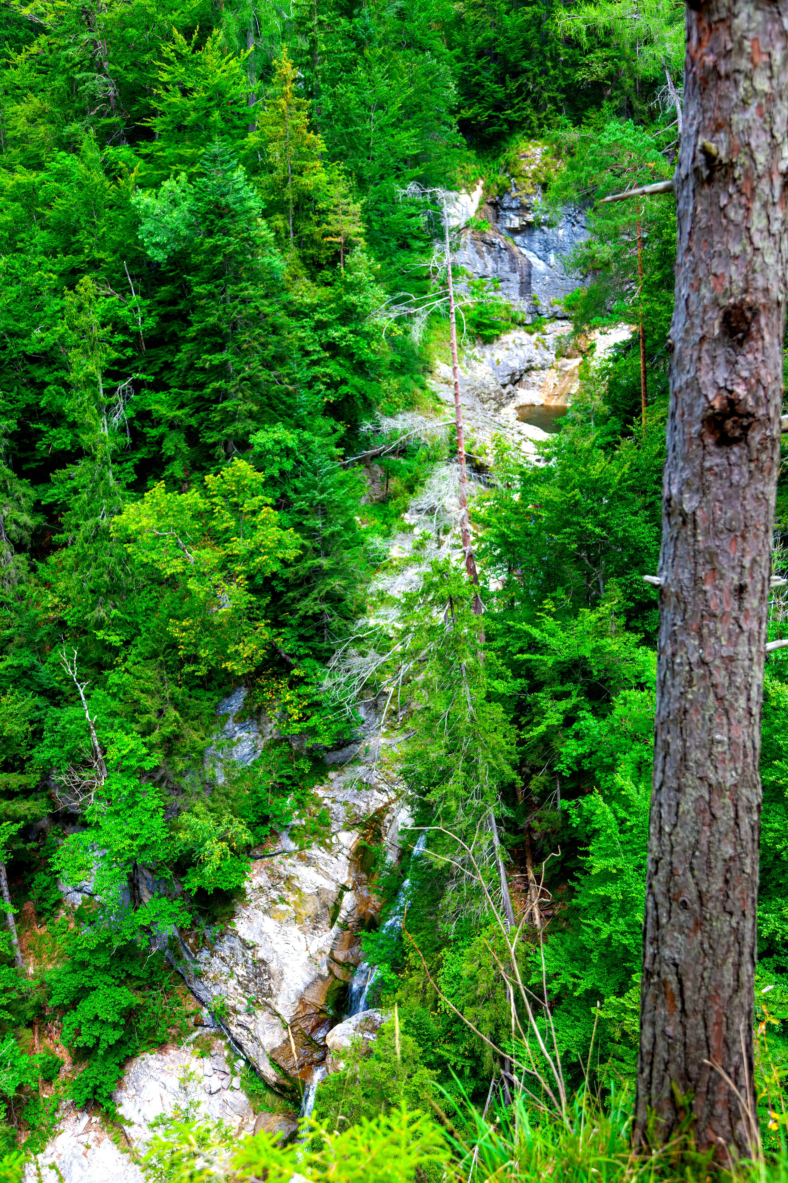 197.Ötscher Base Nature Park.Austria.21.8.2025. Путешествия в формате 360......