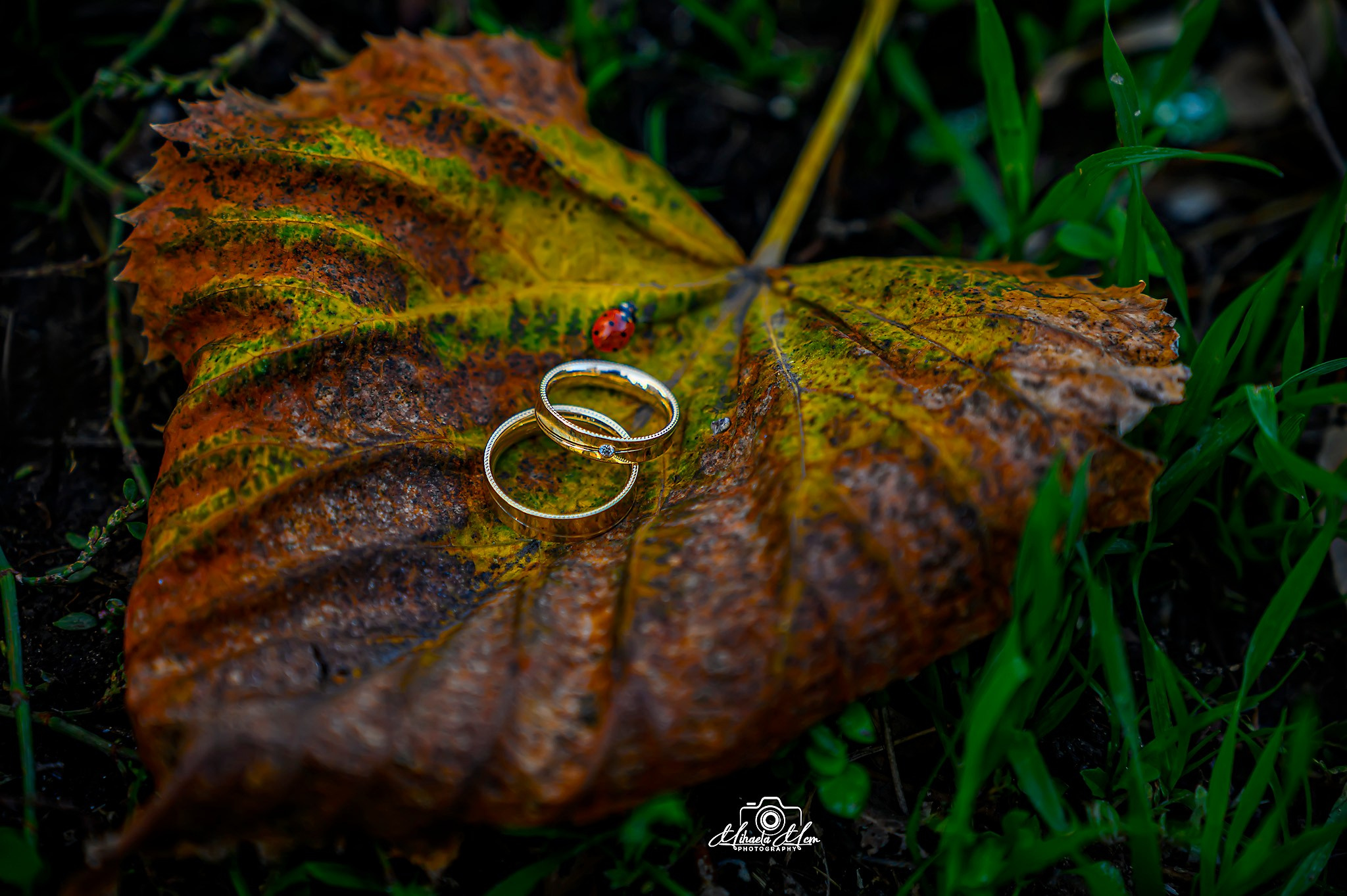 Madalina&Eugen. MCM Happy Studio – Fotograf & Videograf Evenimente | Nuntă & Botez