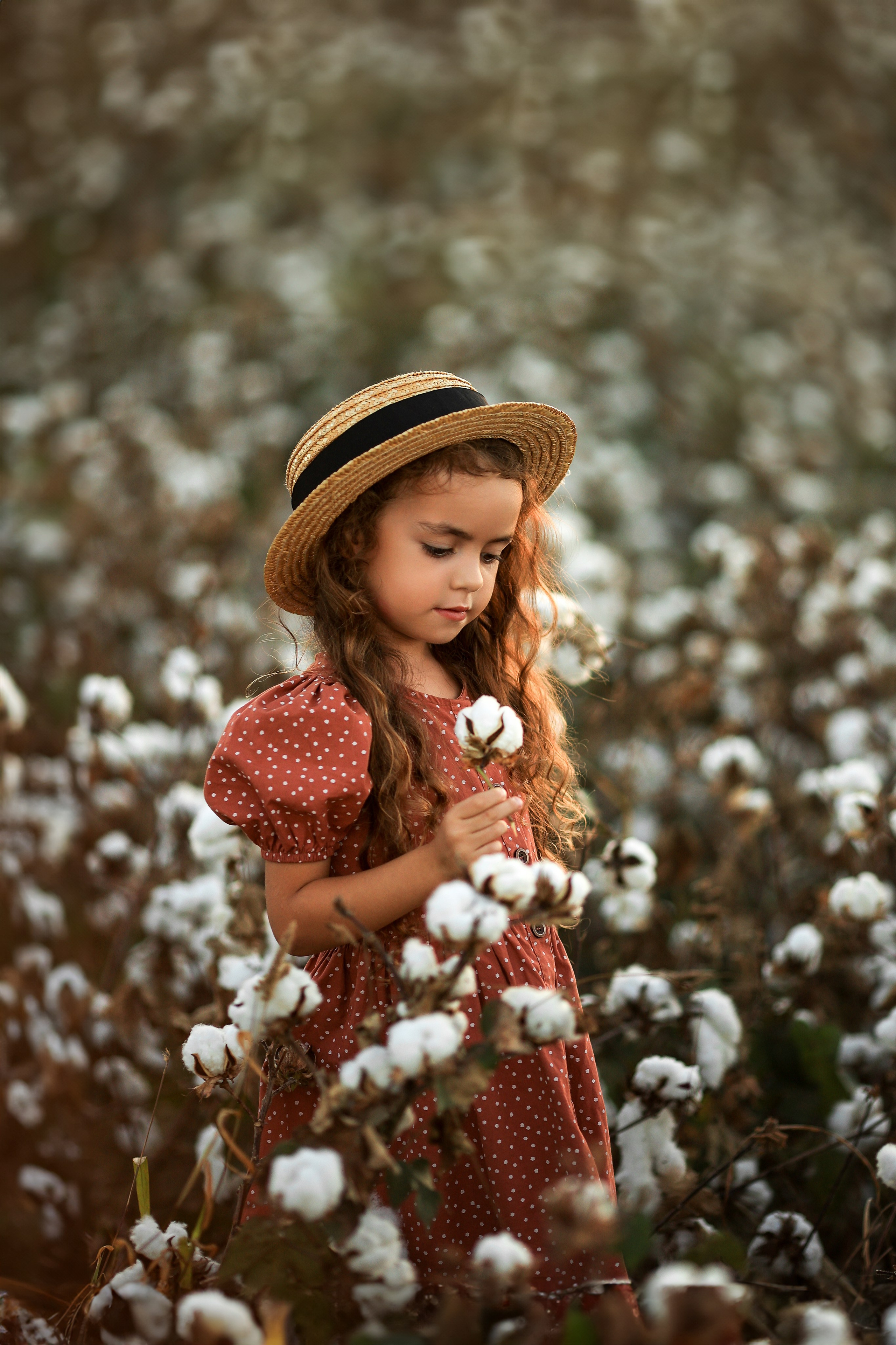Фотосессия на хлопковом поле. Фотограф в Турции, Анталии, Кемере, Белеке, Сиде, Каше, Калкане, Фетхие