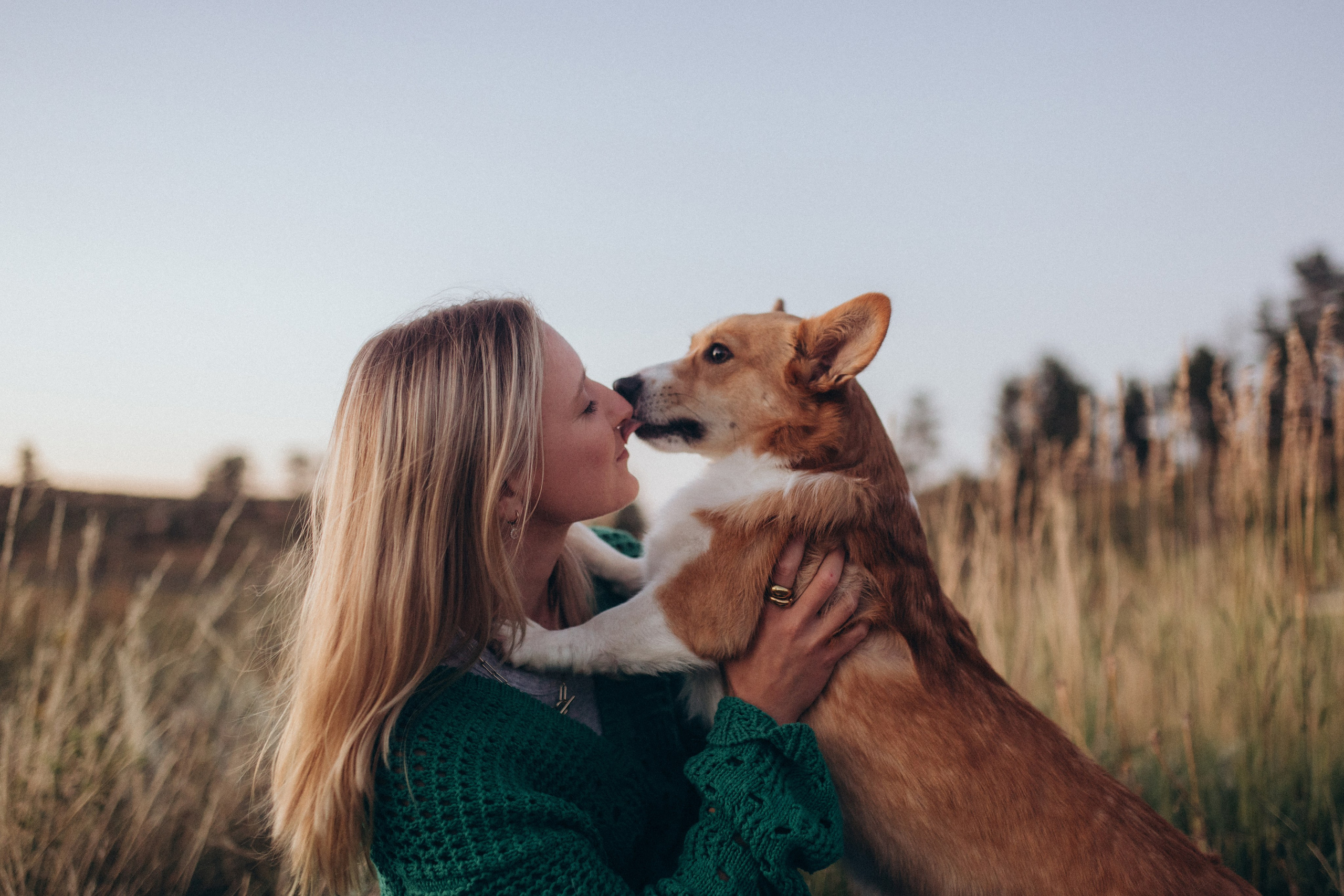 Portraits. Portrait and family photographer in Fort Collins Dania Gaisina