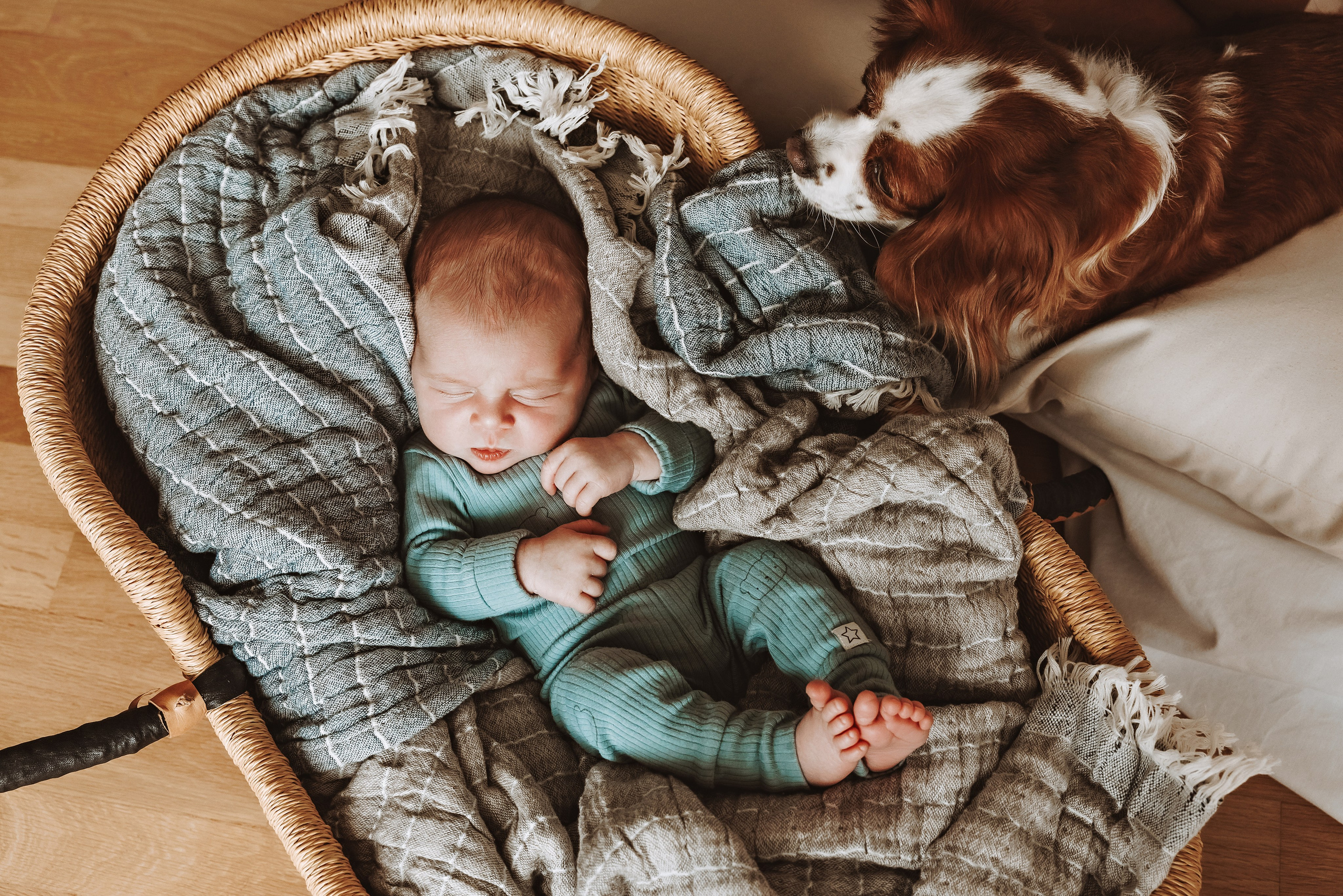 Фотосесия за новородено. Фотограф Ирина Йотова