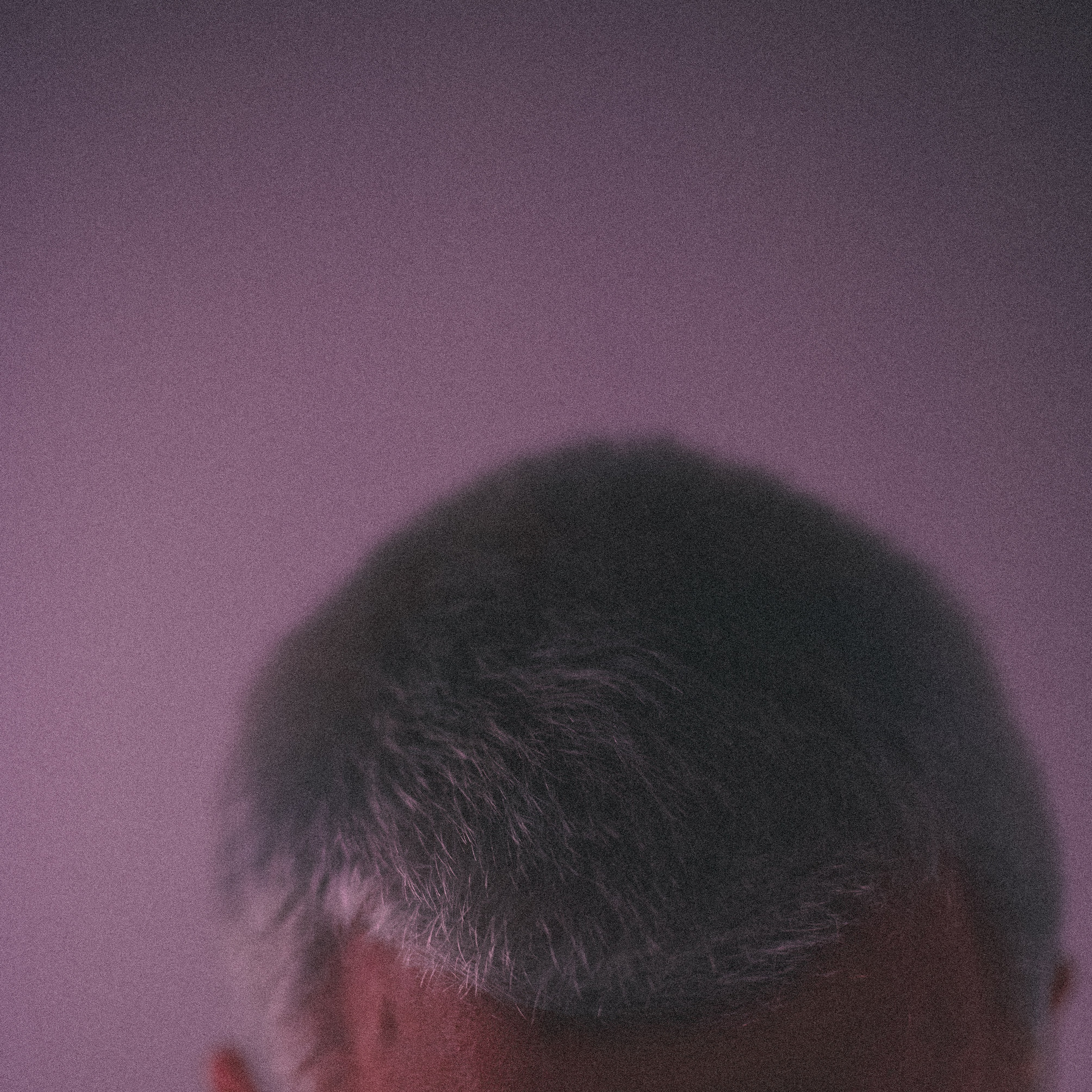 Family, couple and portrait photographer in Gold Coast