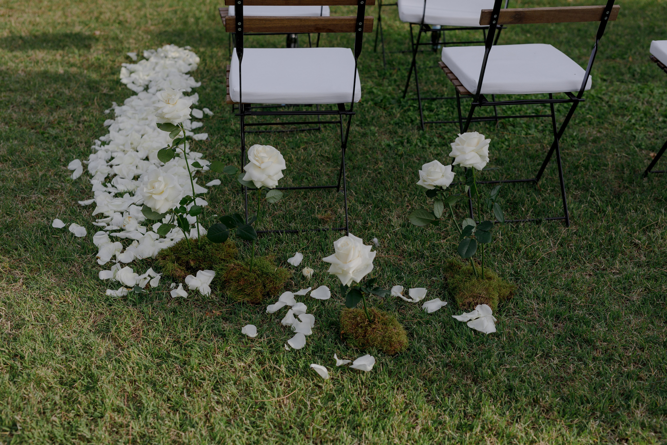 Dom&Ally. Весільний фотограф Вікторія Саврук