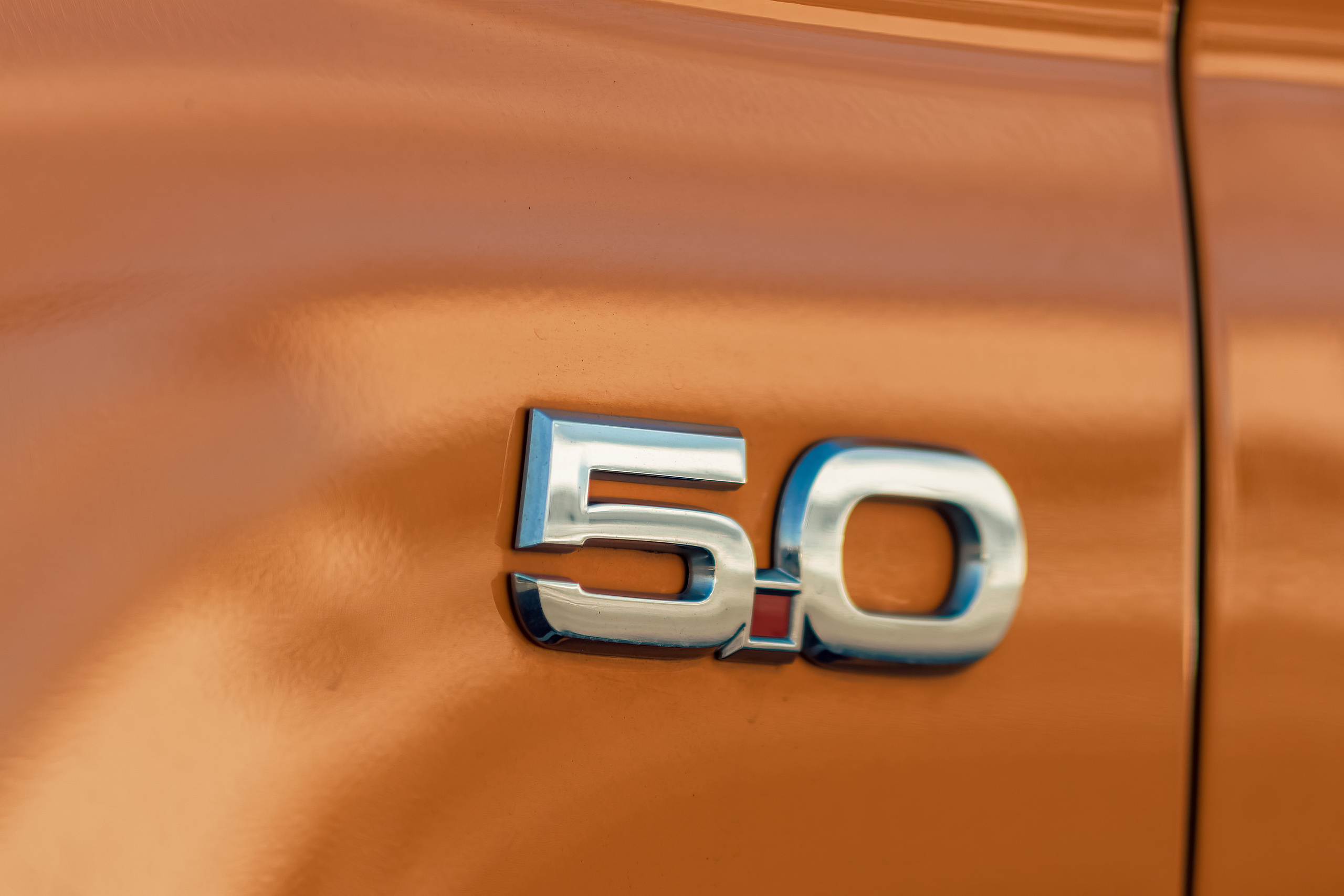 Mustang. Rodzinny i weselny fotograf w Szczecinie, Dennis