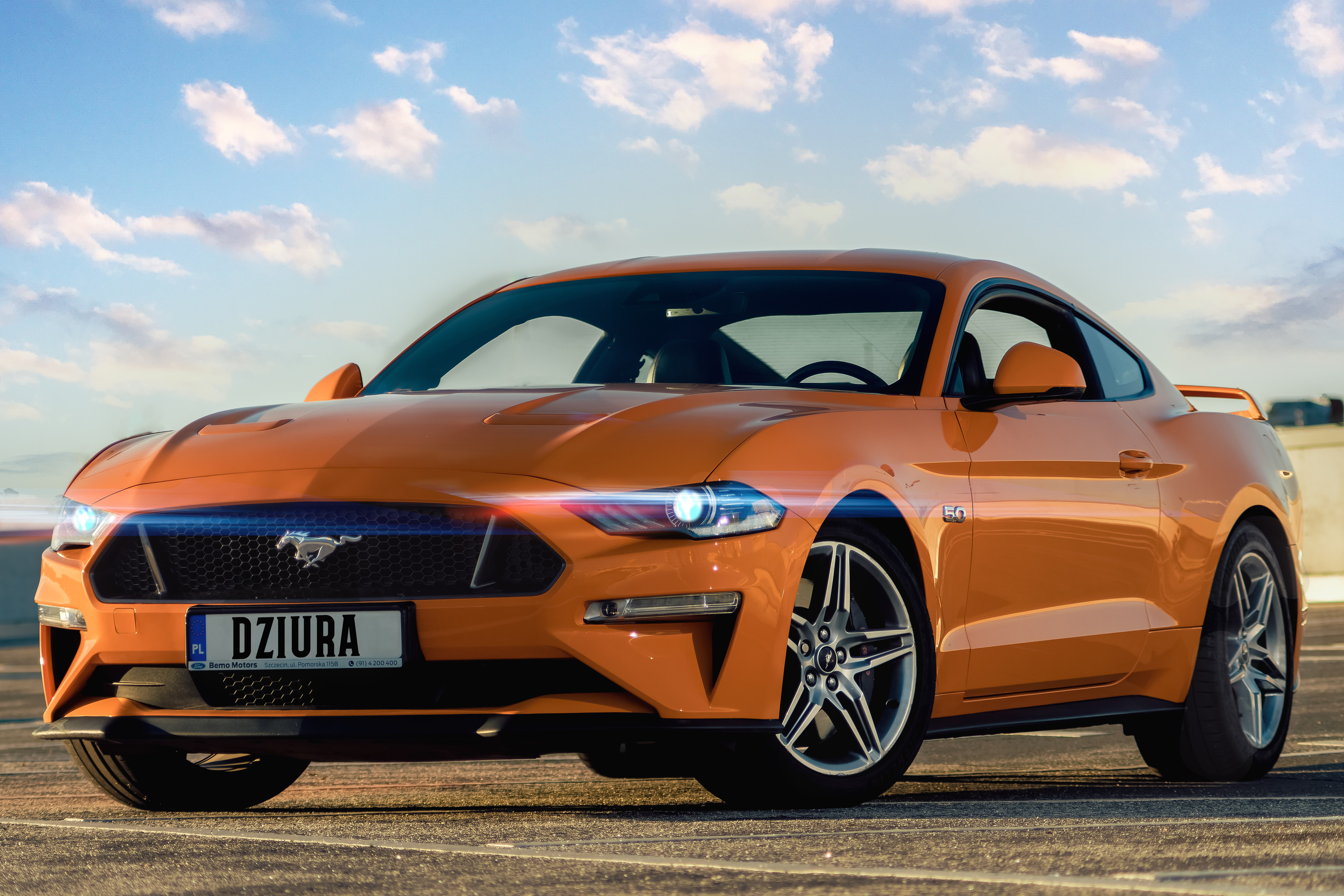 Mustang. Rodzinny i weselny fotograf w Szczecinie, Dennis