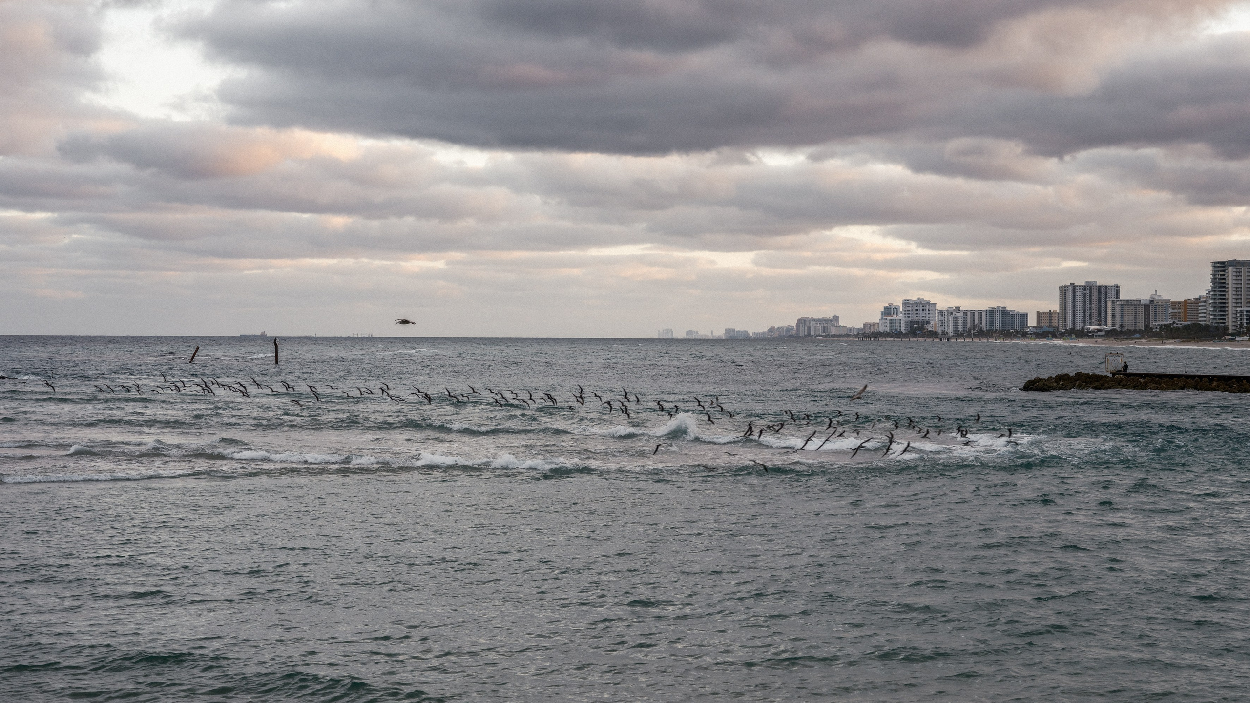 LIV AND OSCAR. Florida destination wedding photographer
