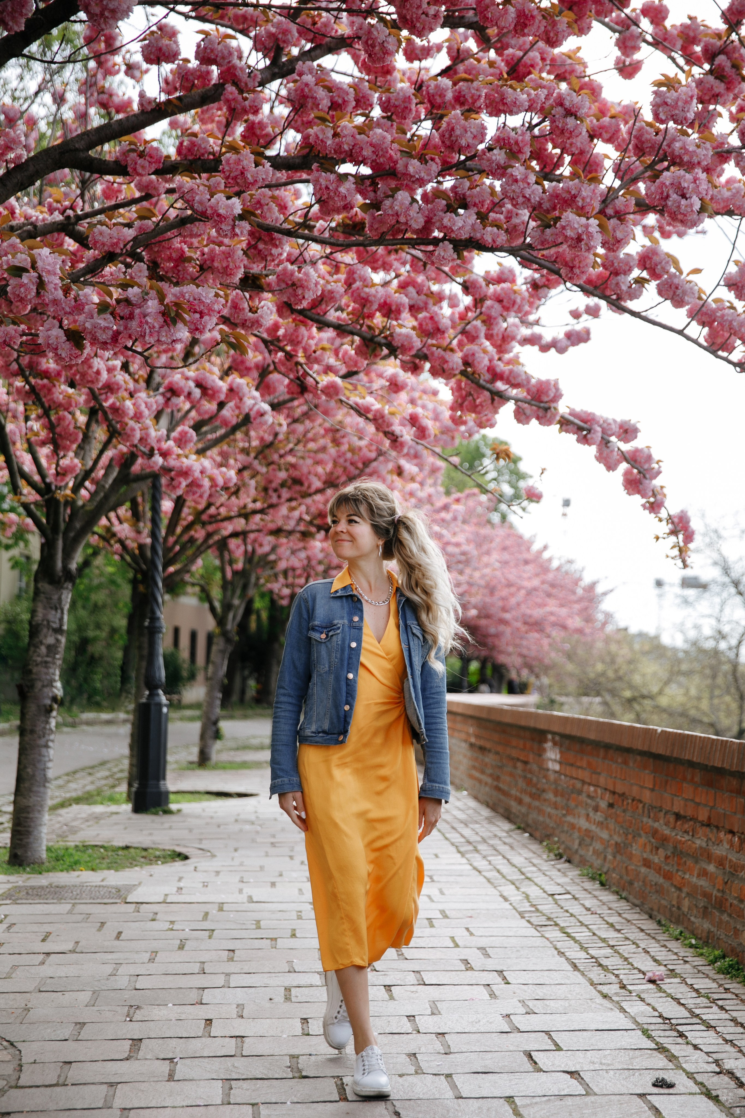 Рыбацкий бастион. Сакуры. Фотограф в Будапеште Рита Горбачева