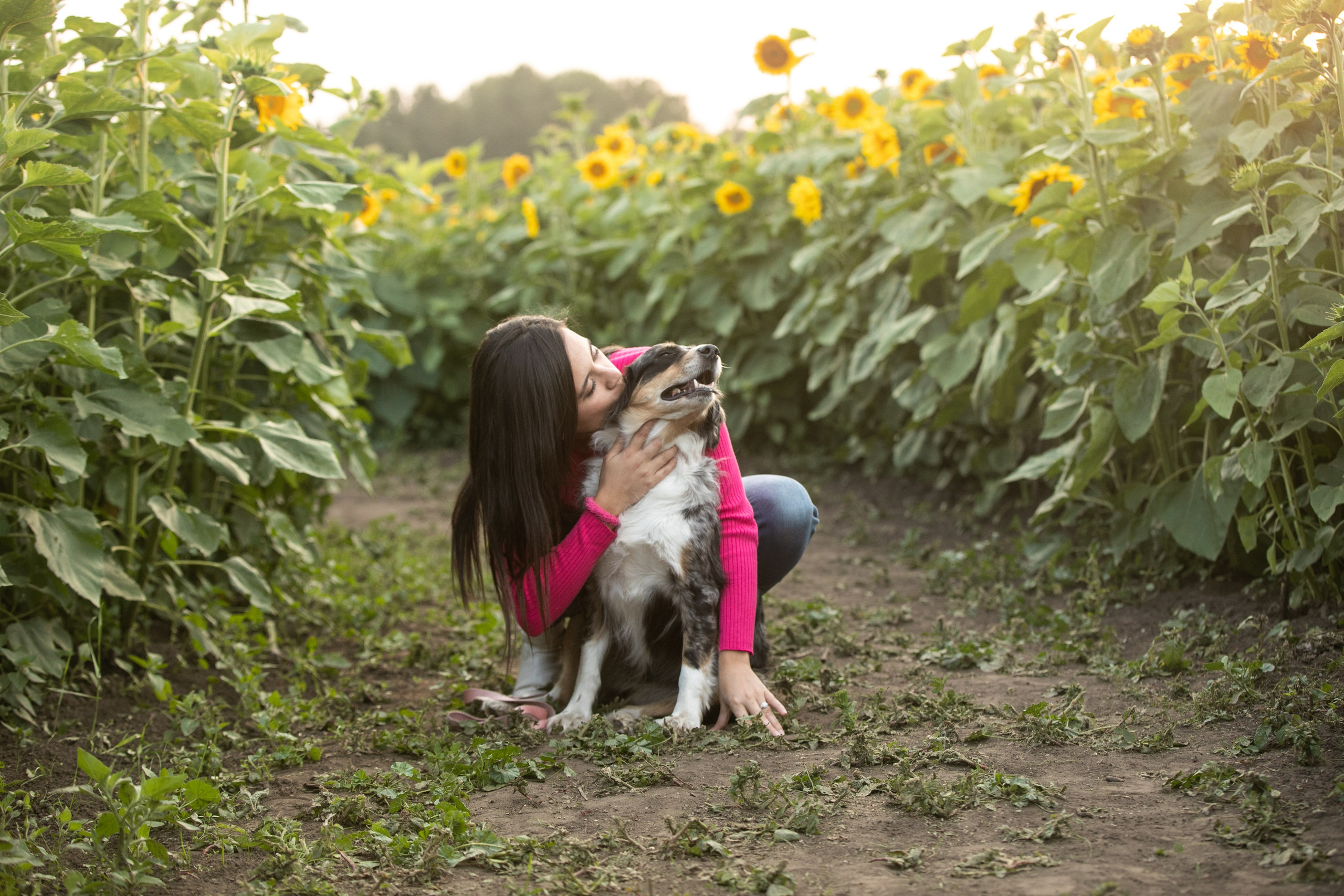 Bowden Sunmaze — Ana Pau & Johnathan. Ching Li Photography