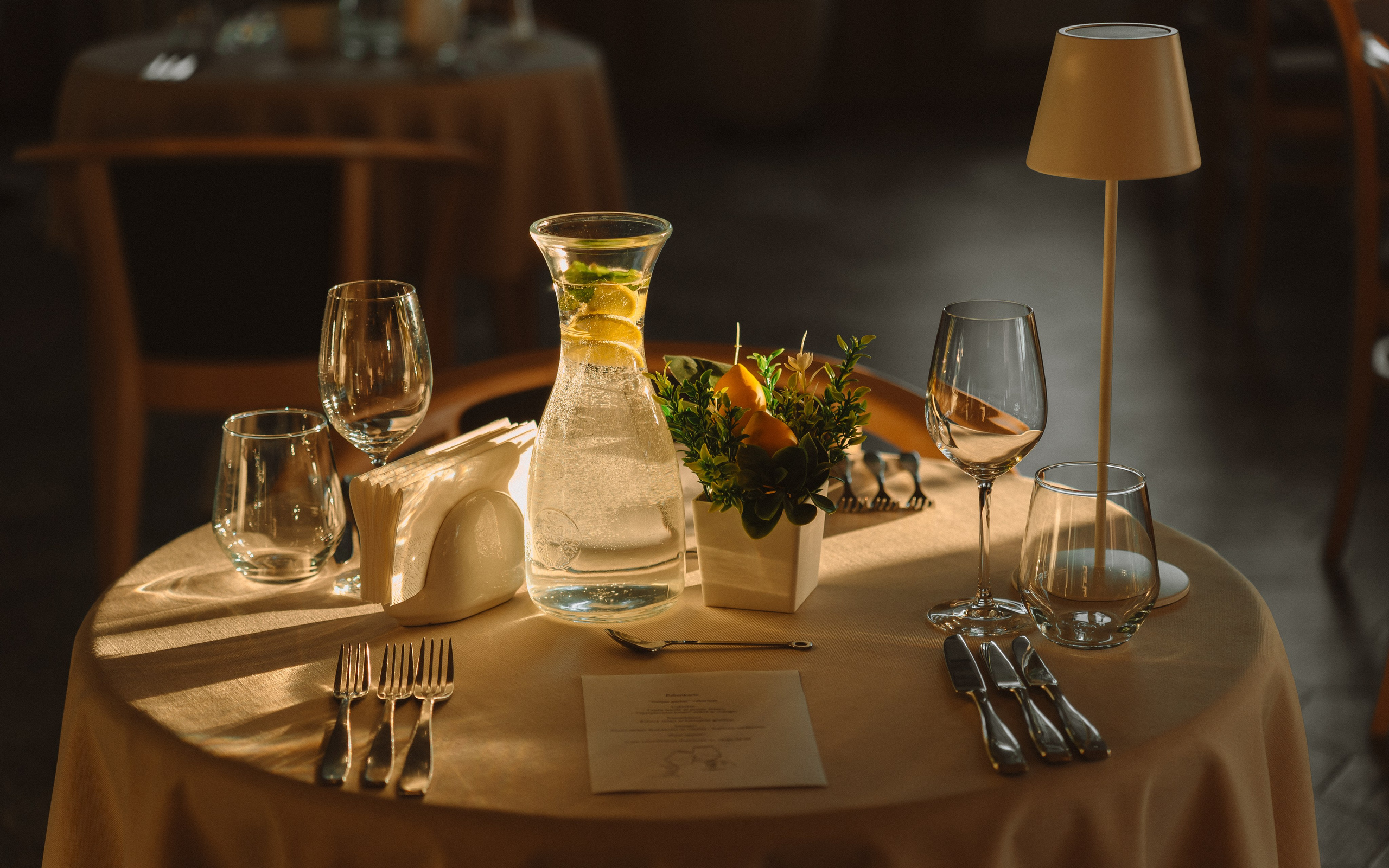 RESTAURANT. Montenegro photographer and videographer