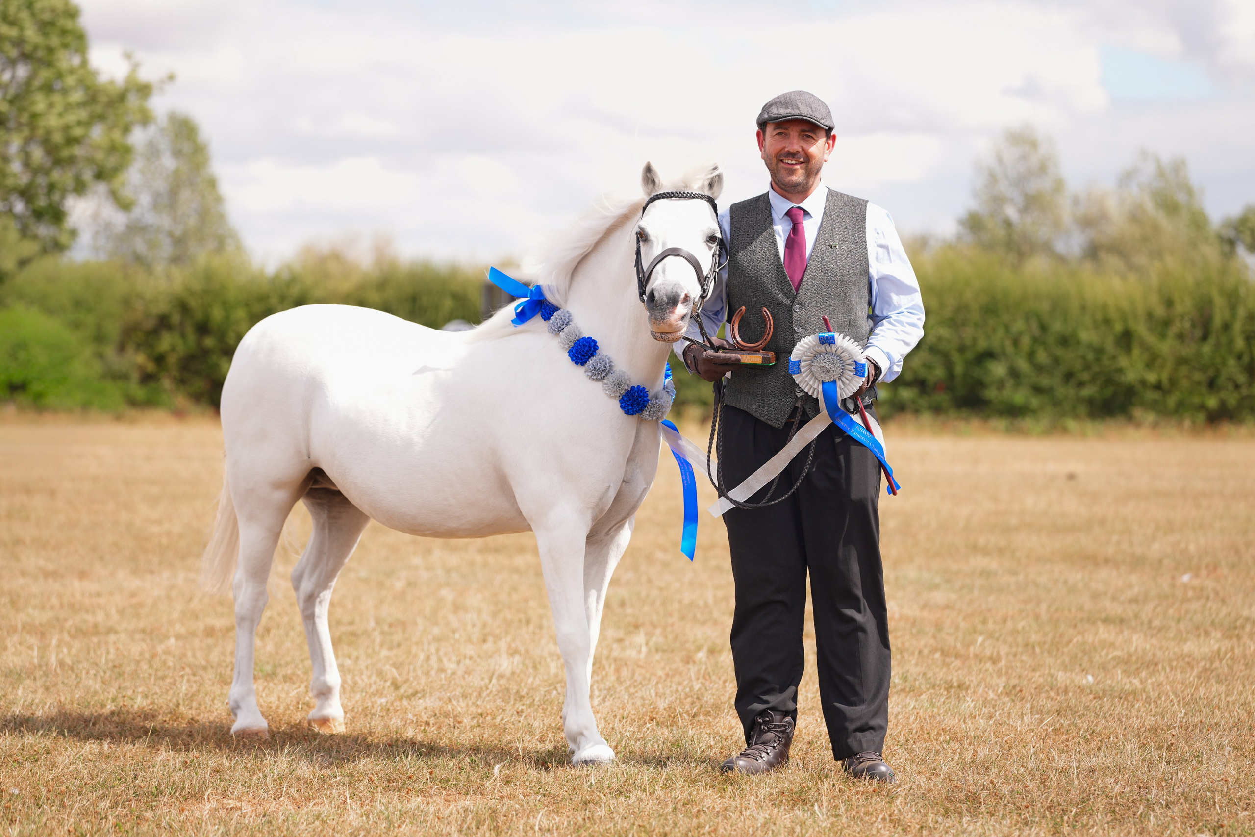 Showing. Leicestershire Equine Photography by El | Authentic Equine Portraits & Events
