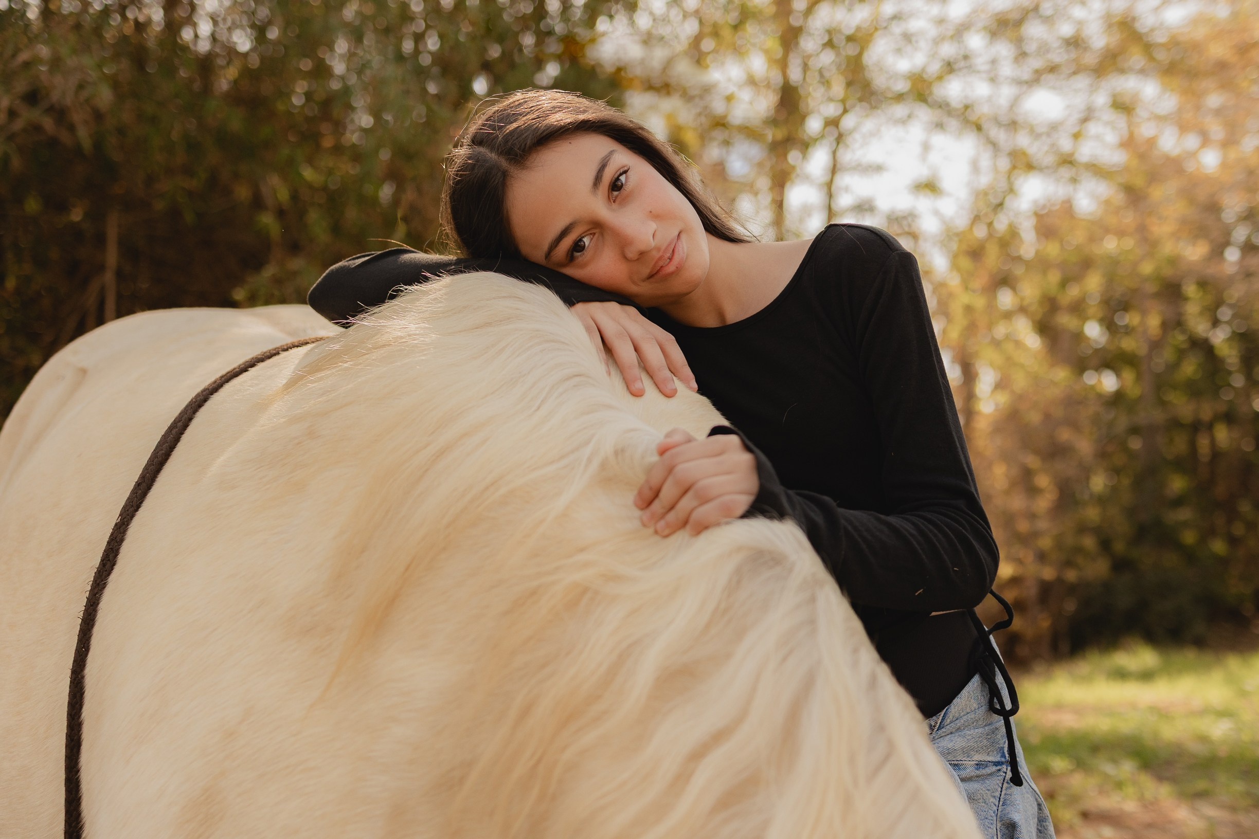 חוות סוסים בת מצווה. דף בית
