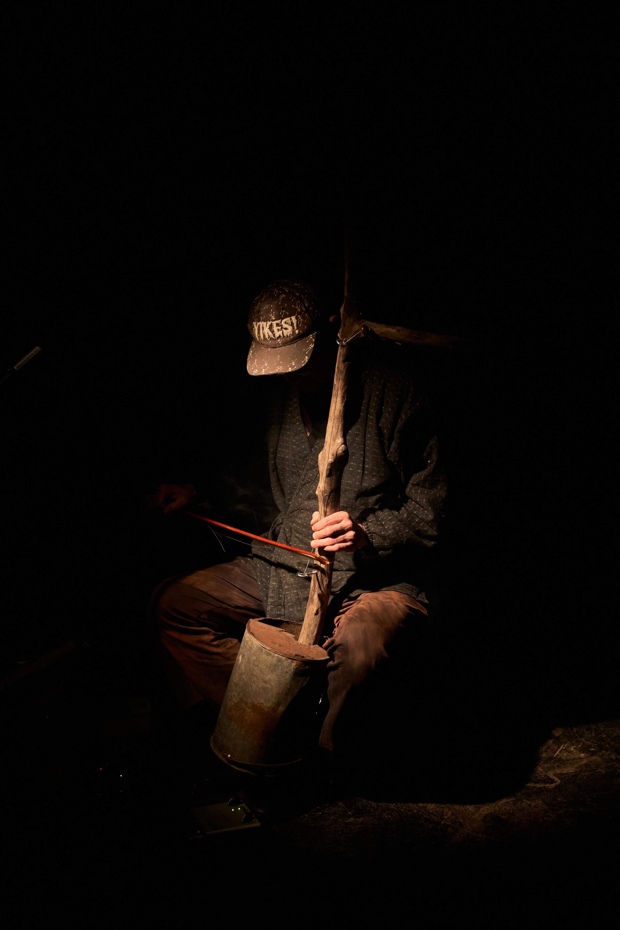 Forest. Mushrooms. Singularity Film