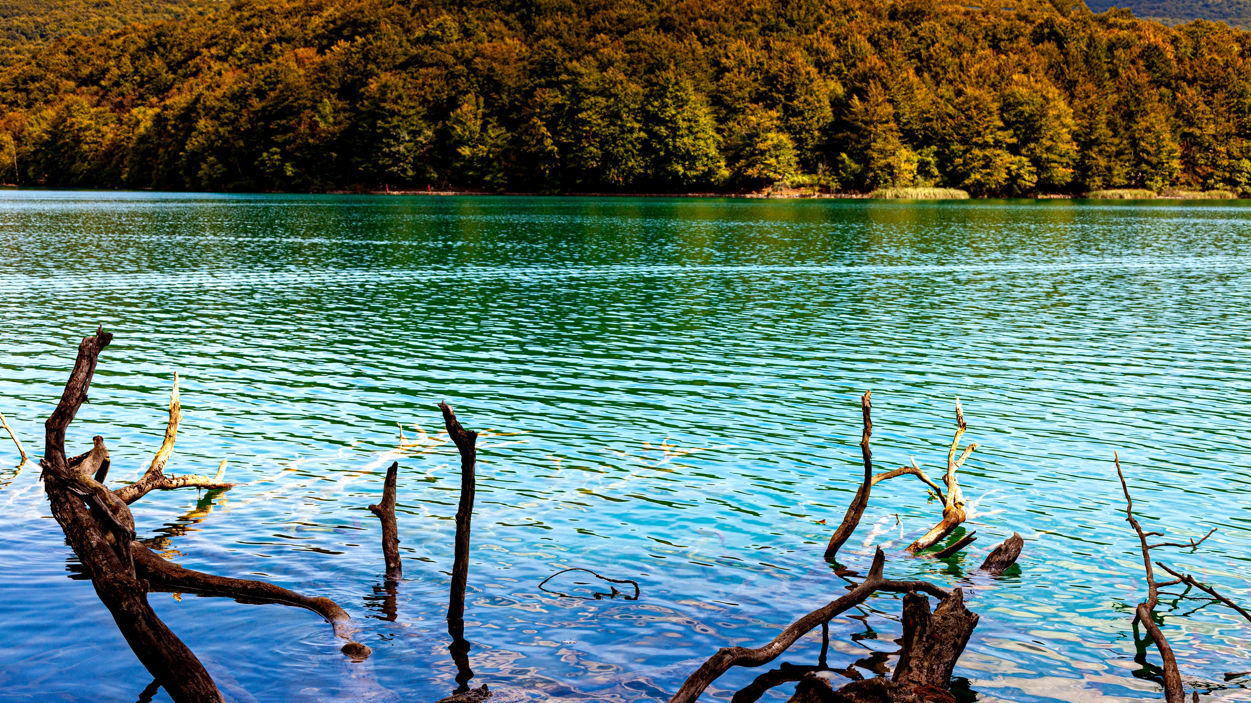 161.Plitvice lakes.17.9.2023. Путешествия в формате 360......