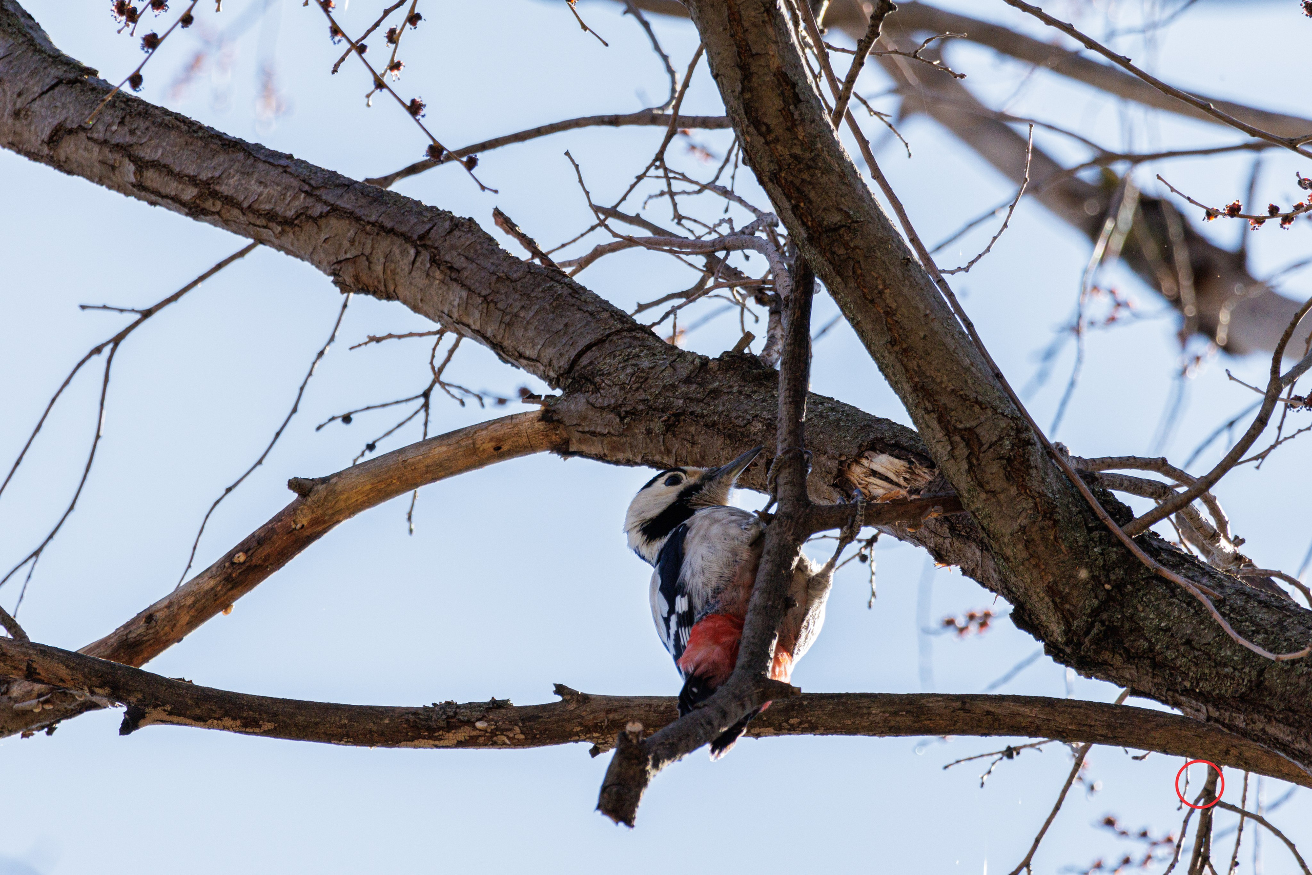 გასეირნება კრწანისის ტბებზე. FramefreeMan