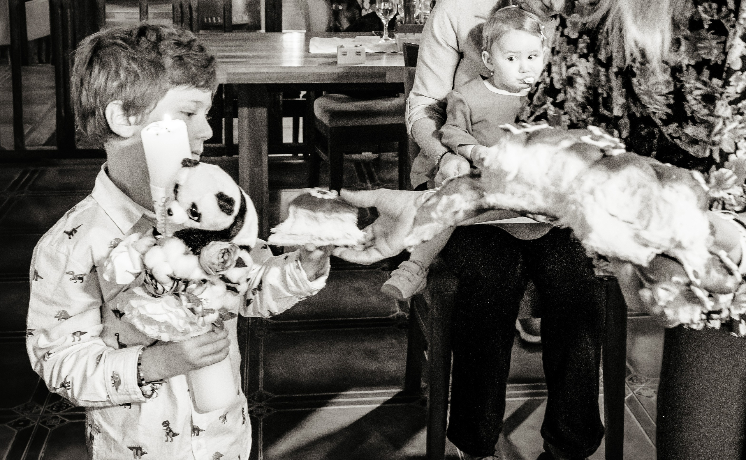 Fotograf turta Serena