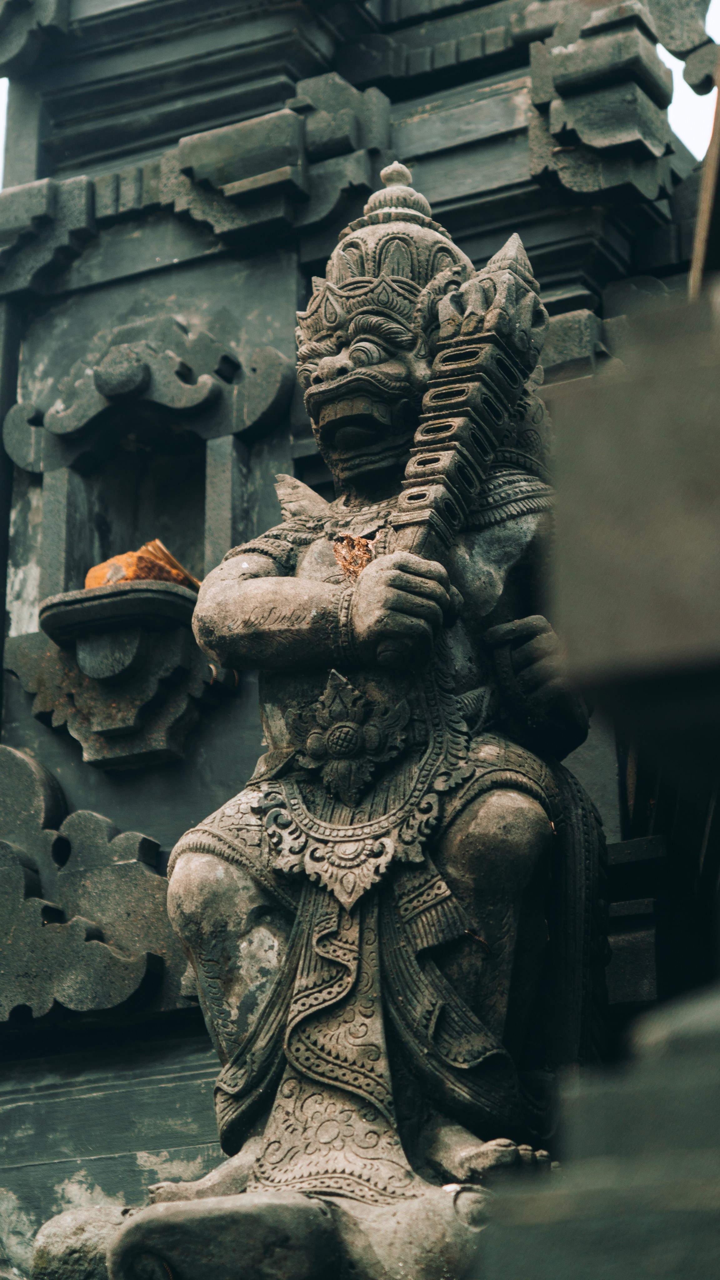 Roaming. Mike Avelli