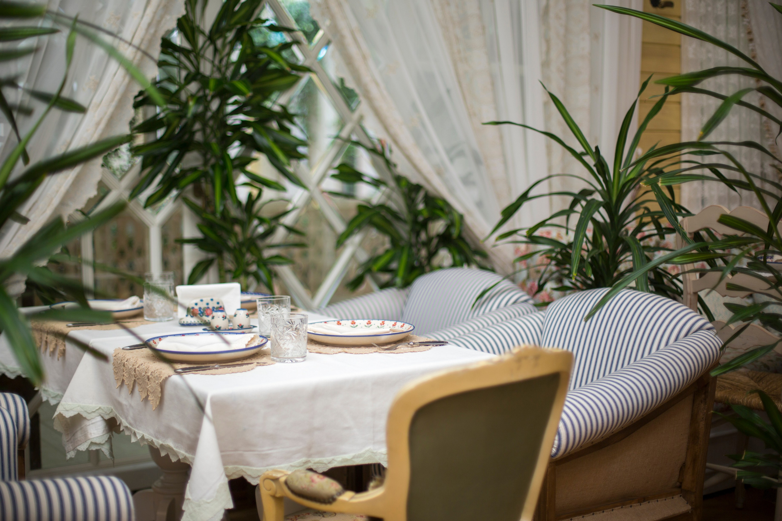 MariVanna restaurant. Коммерческий фотограф в Азербайджане Бессонова Анфиса
