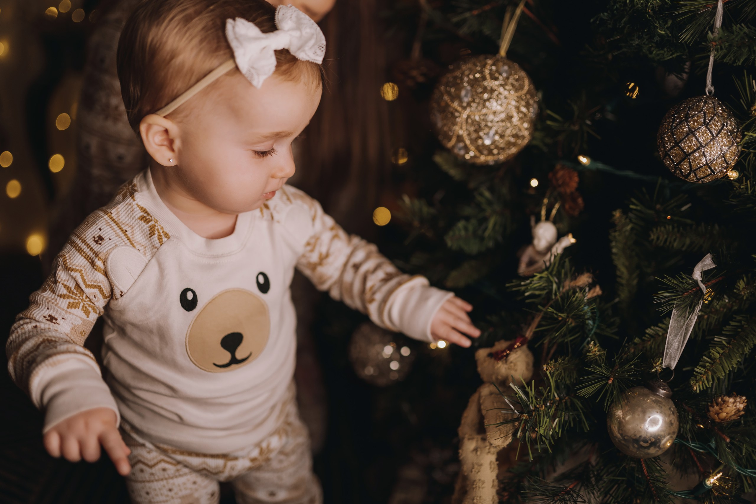 09.12.2023 Christmas Photoshoot. Wedding family event photographer in Chicago Nick Yushevich