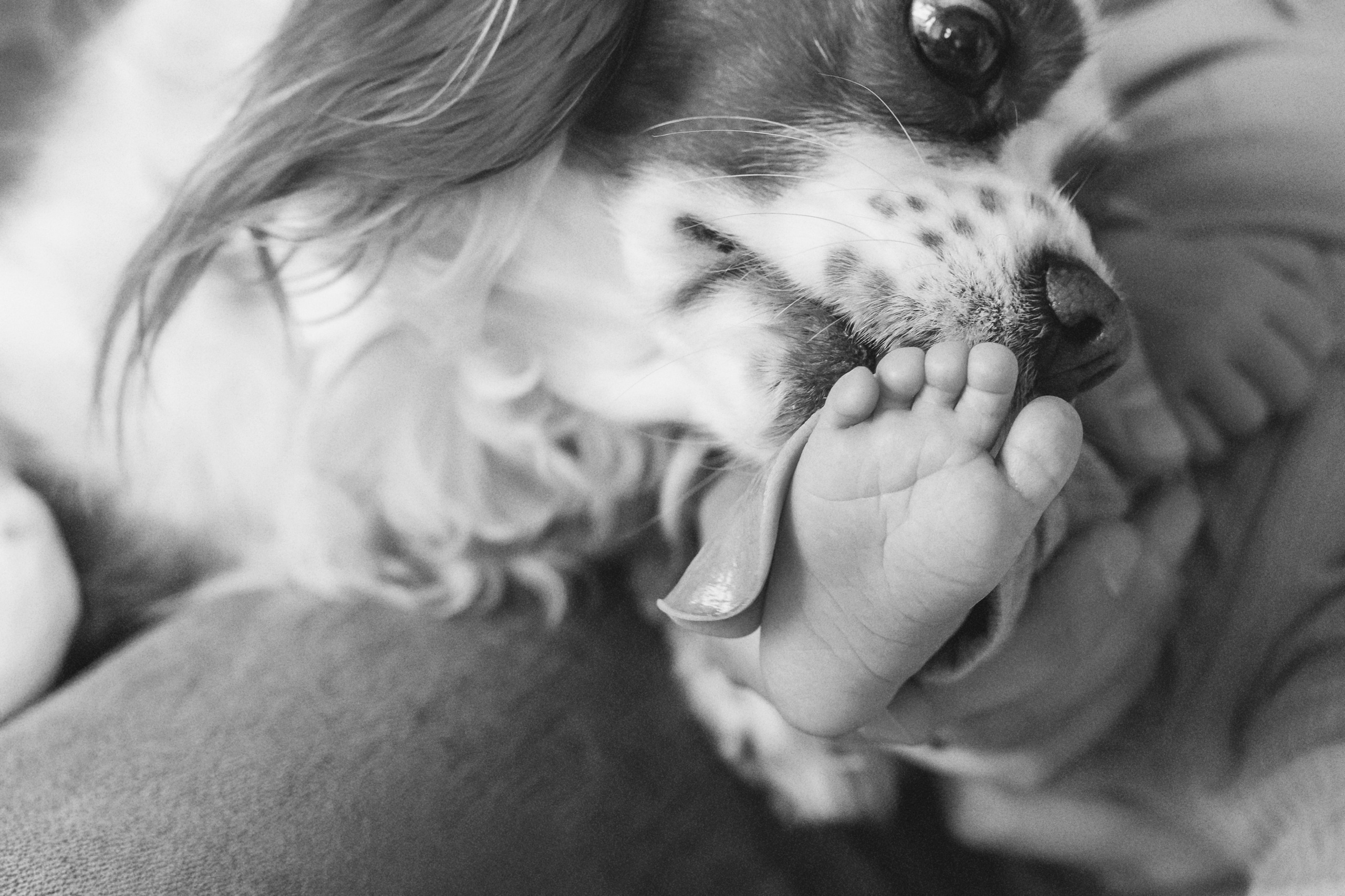 Фотосесия за новородено. Фотограф Ирина Йотова