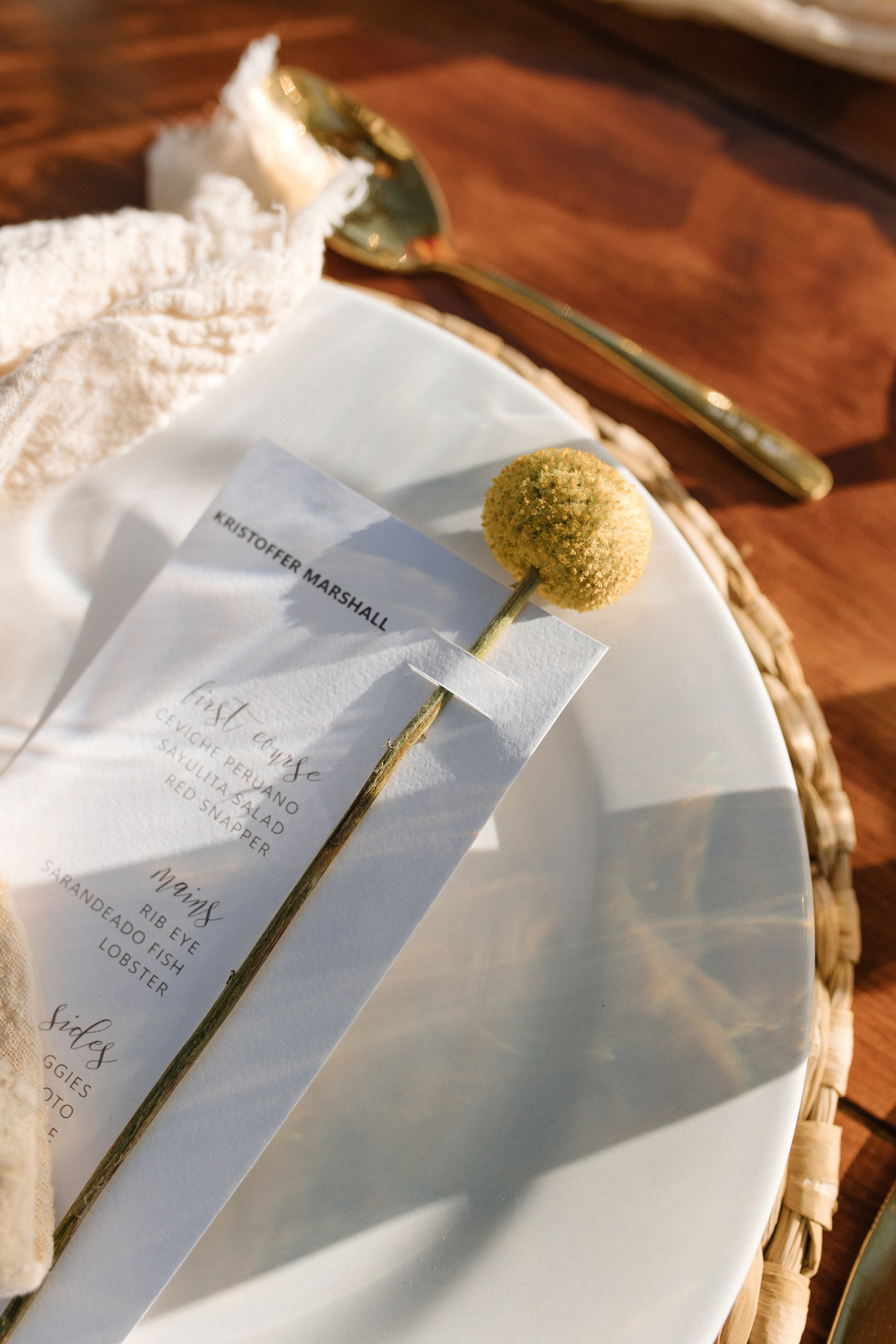 Villa del Oso, Sayulita. Wedding photographer Mexico Sayulita Puerto Vallarta Punta Mita Cabo