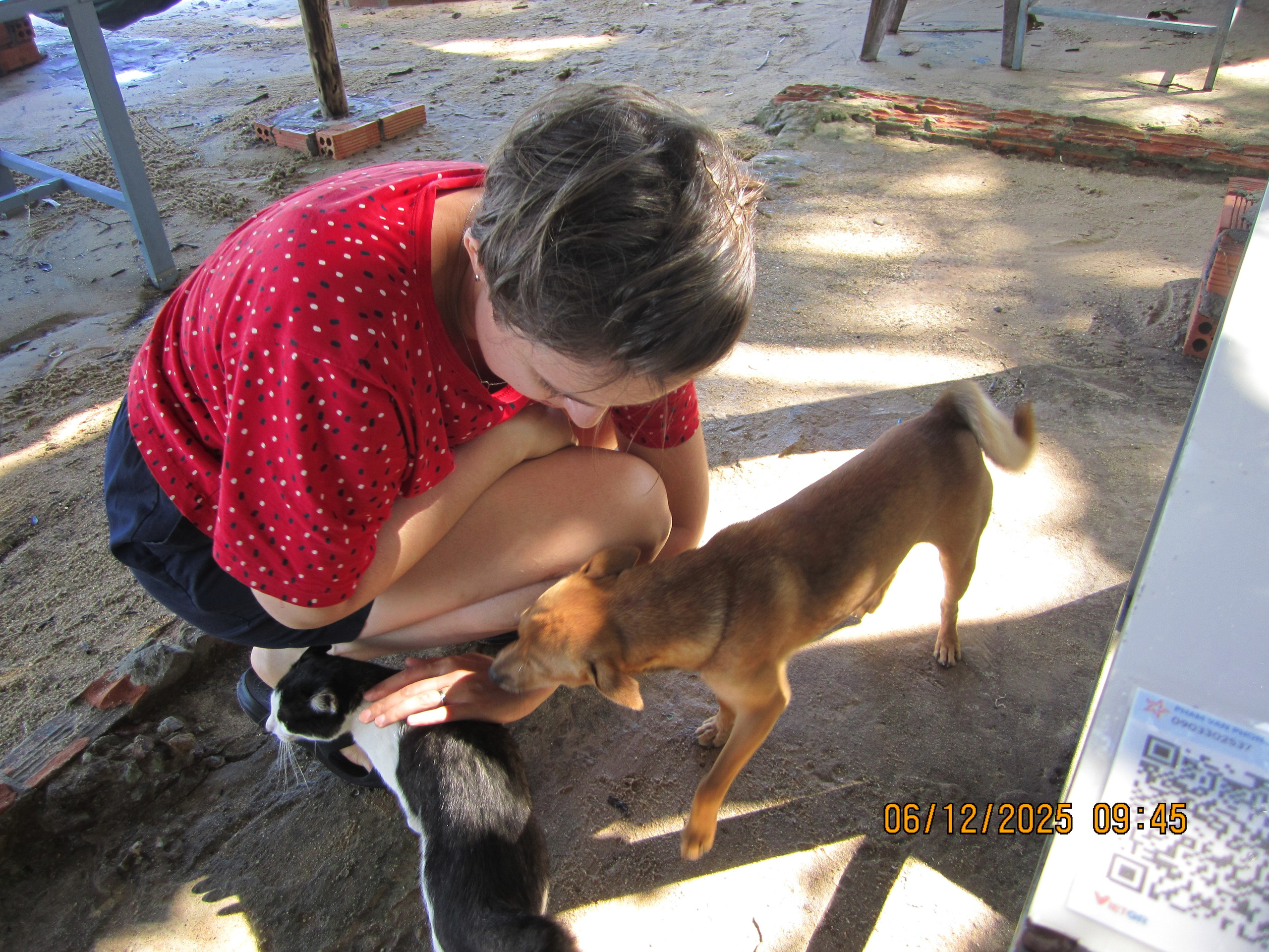 Kaheteistkümnes päev. LondoSpeed Photography