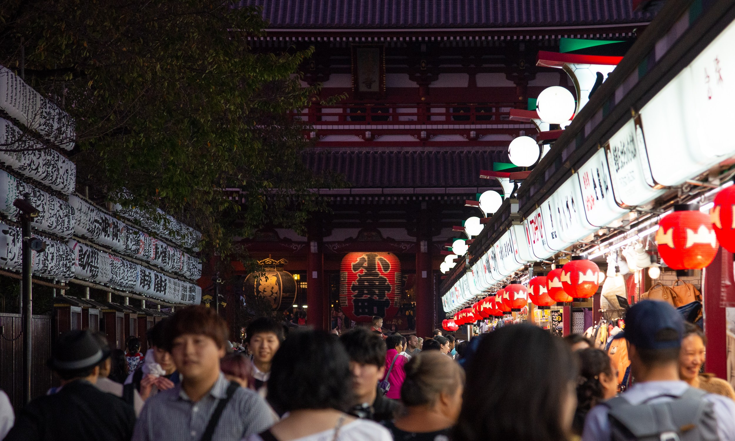 Japan. Marius Ciocan
