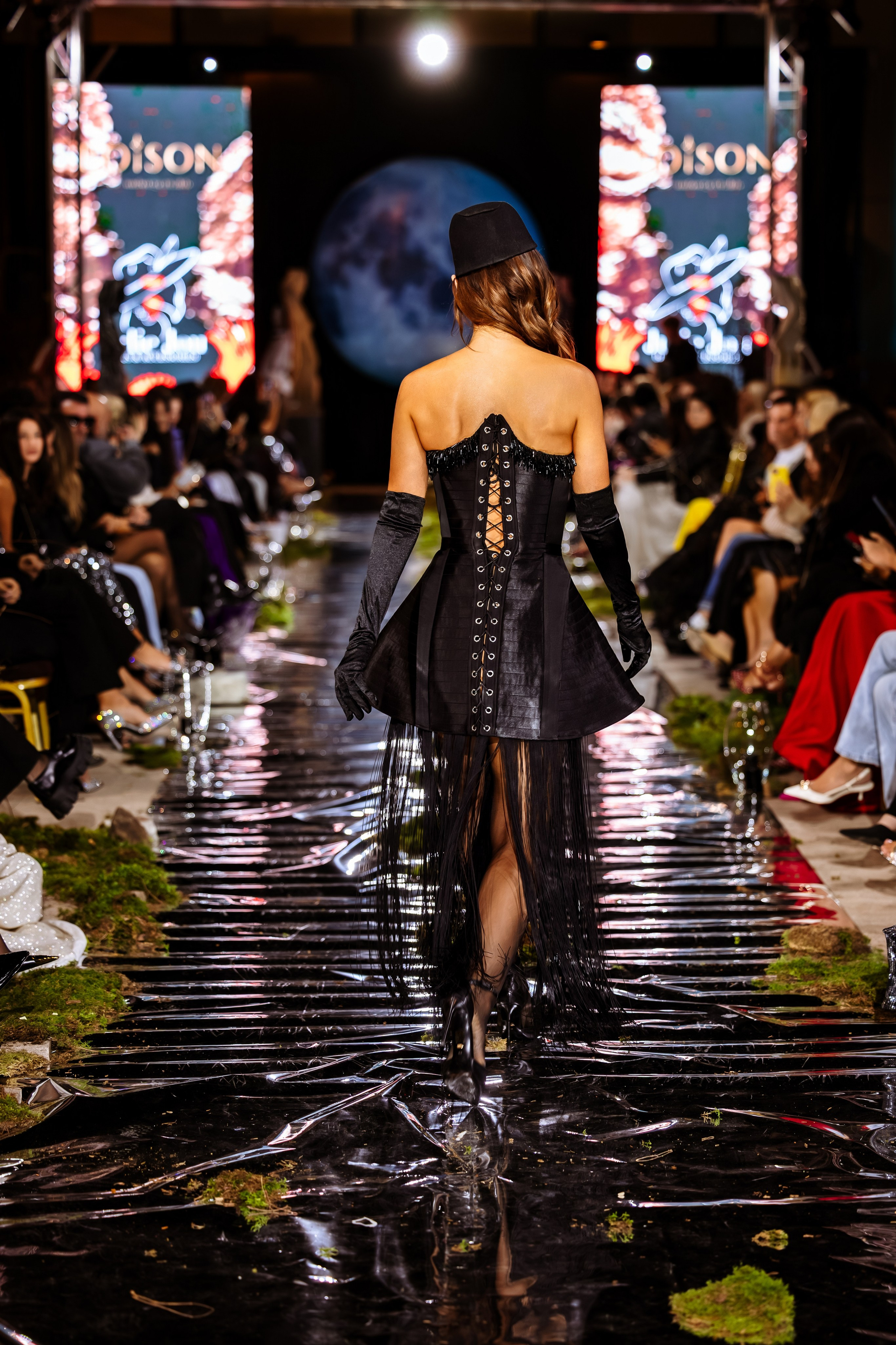 Prive. Marius Ciocan