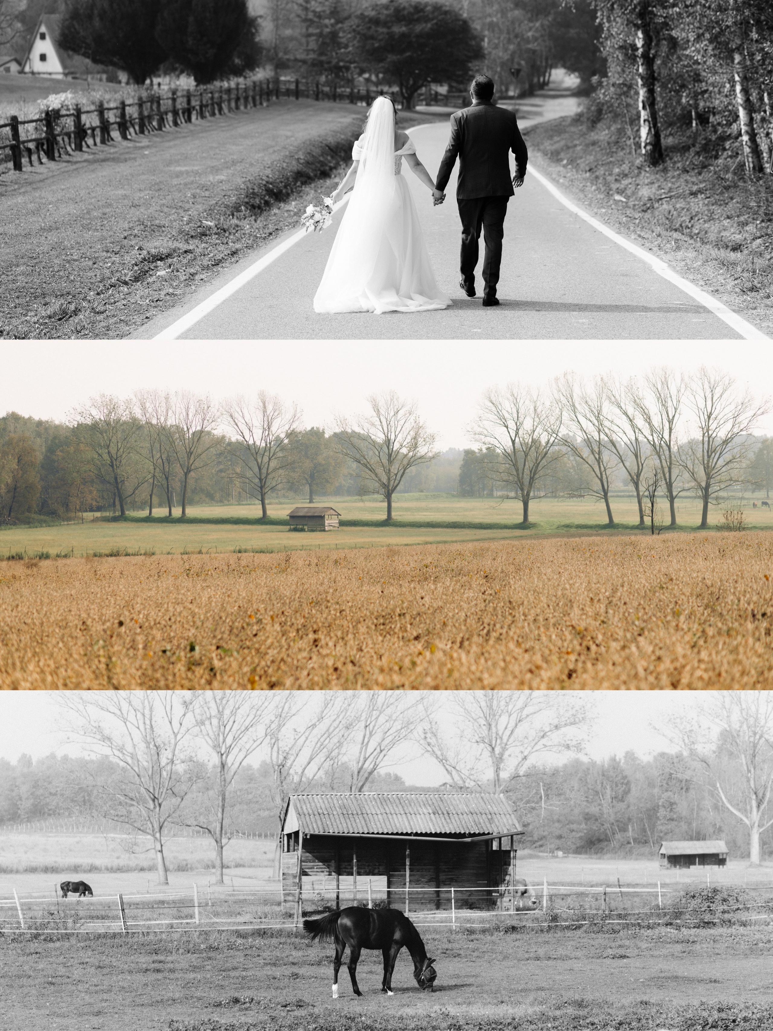 Autumn Wedding in the Vineyards of Piedmont, Italy — Kristina and Daniele. Liza Bizzaro — Italy Wedding, Love Story & Portrait Photographer in Milan, Turin, Piedmont and Across Italy