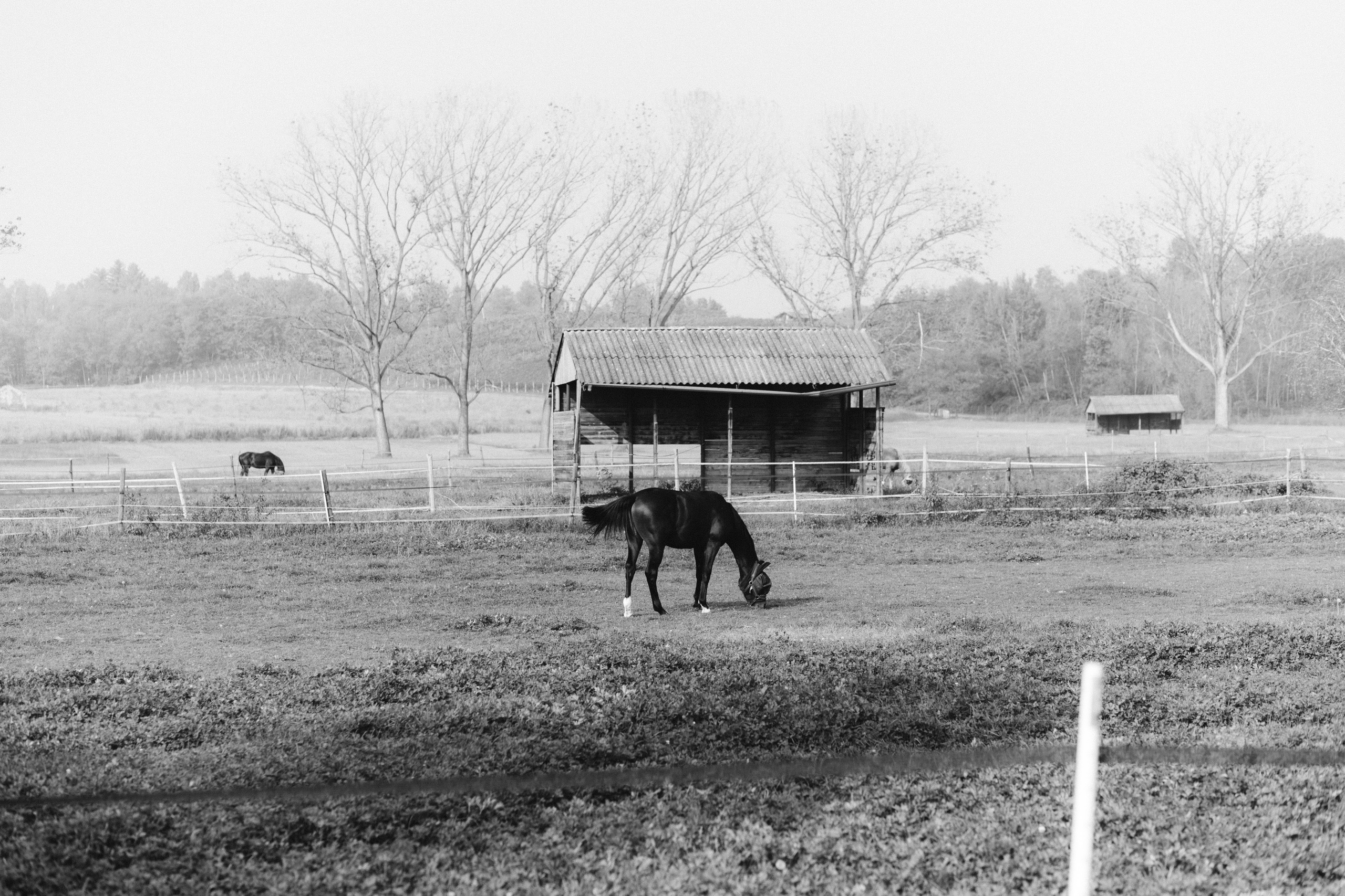 Autumn Wedding in the Vineyards of Piedmont, Italy — Kristina and Daniele. Liza Bizzaro — Italy Wedding, Love Story & Portrait Photographer in Milan, Turin, Piedmont and Across Italy
