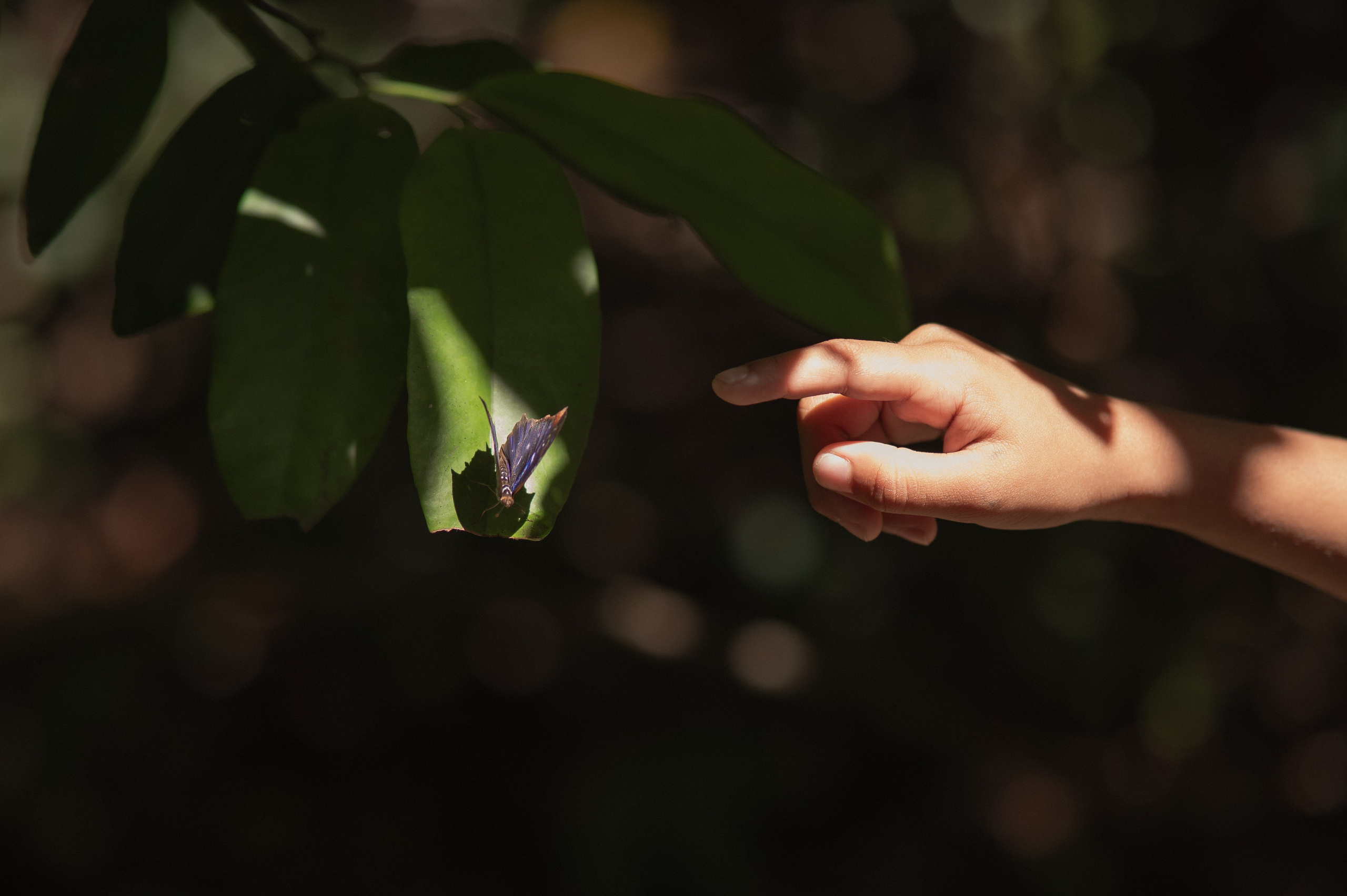 Carolliny — A espera do Benjamin. Lembrar não é só ver. É sentir de novo