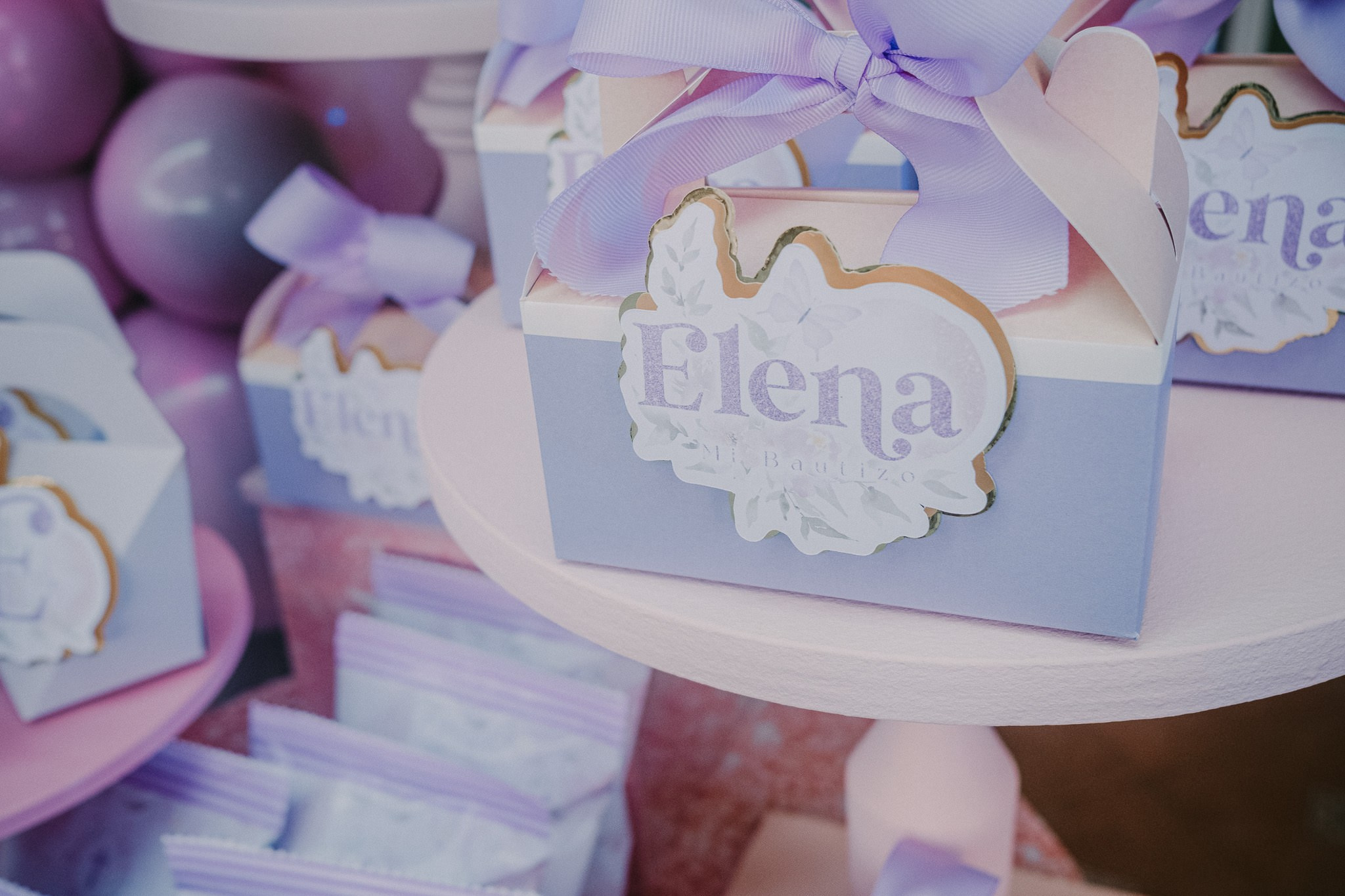 Elena Bautizo. Wedding and family photographer in Mexico City