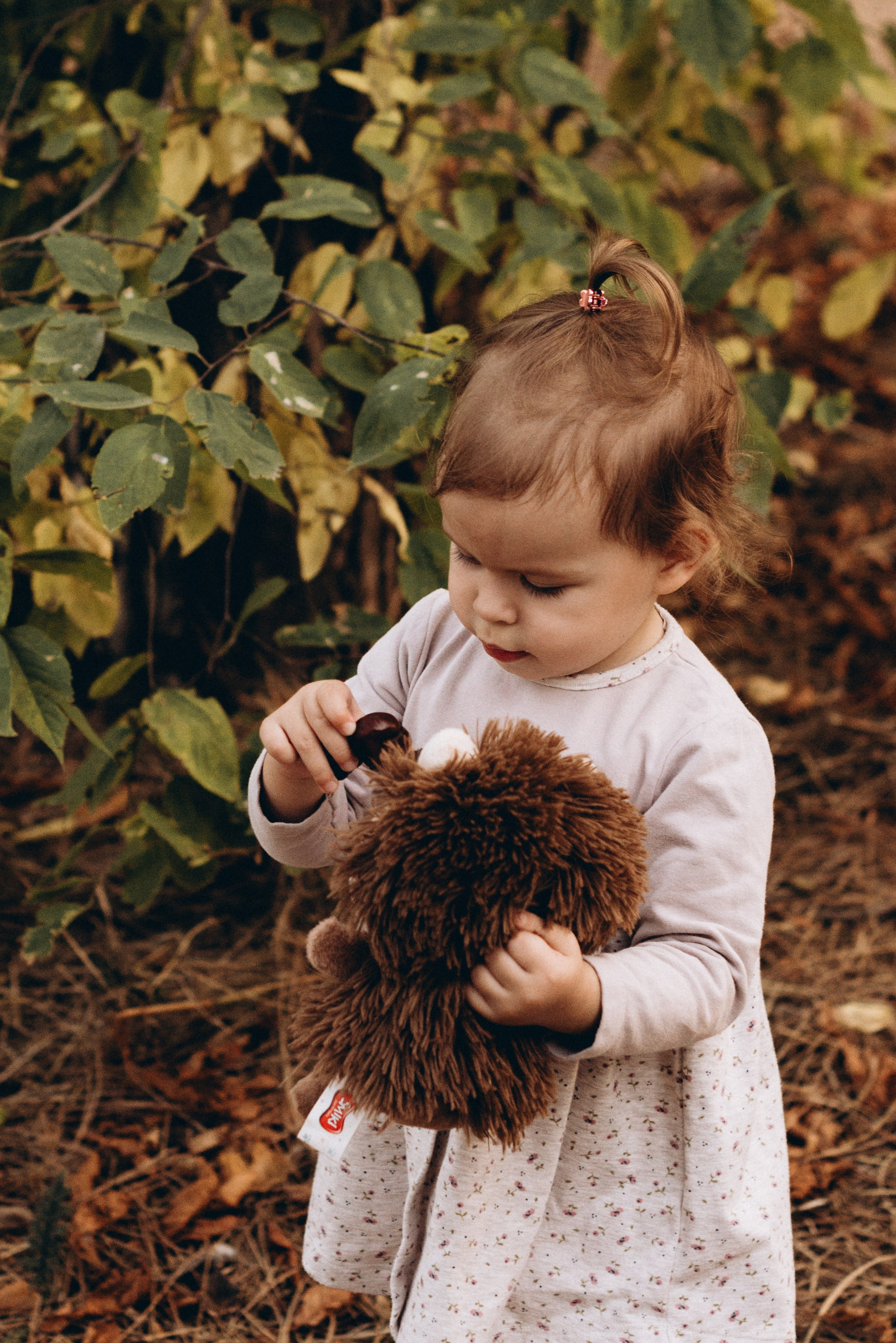 *. Wedding and family photographer San Diego