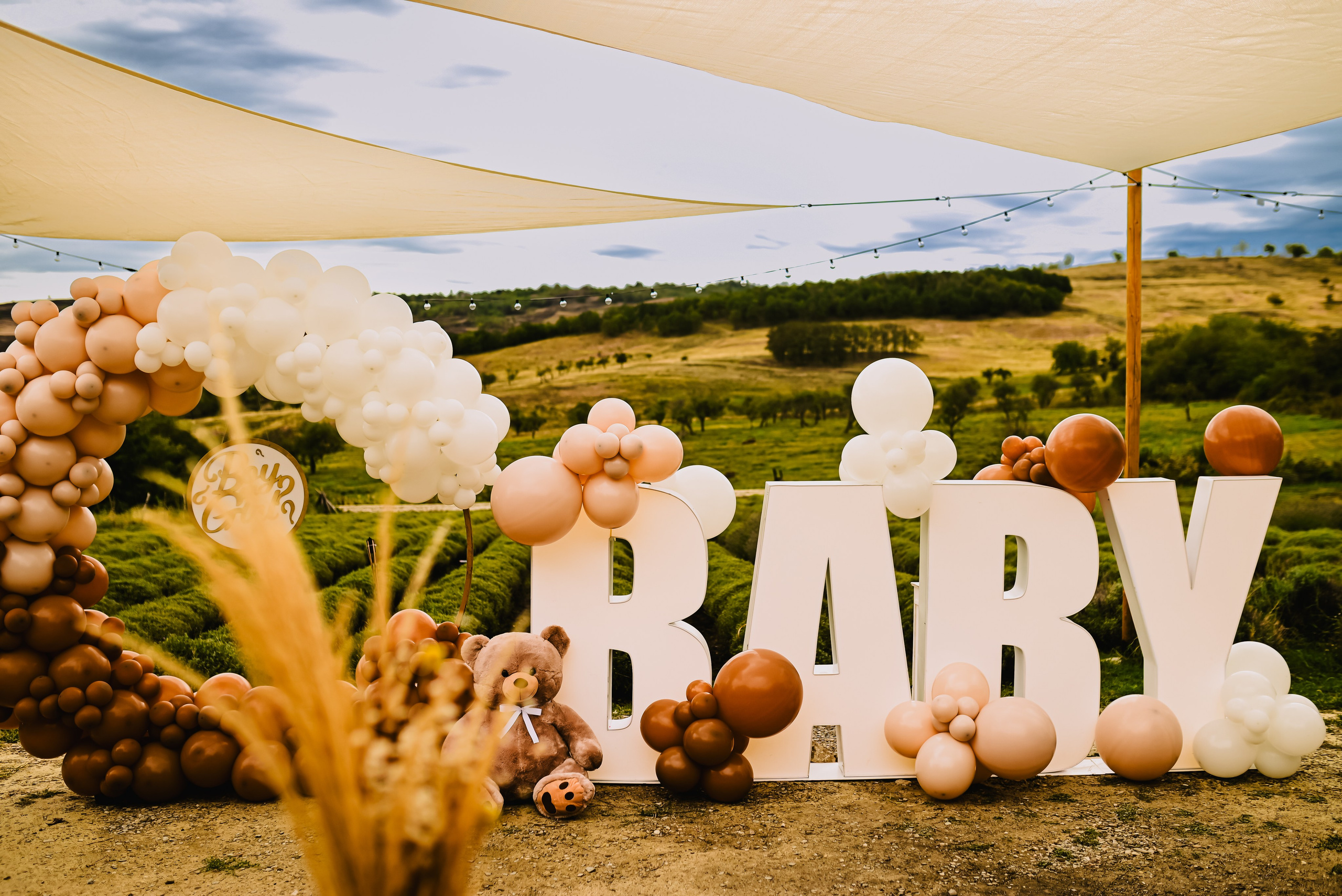 Gender reveal Alina & stefan. Giani Maftei