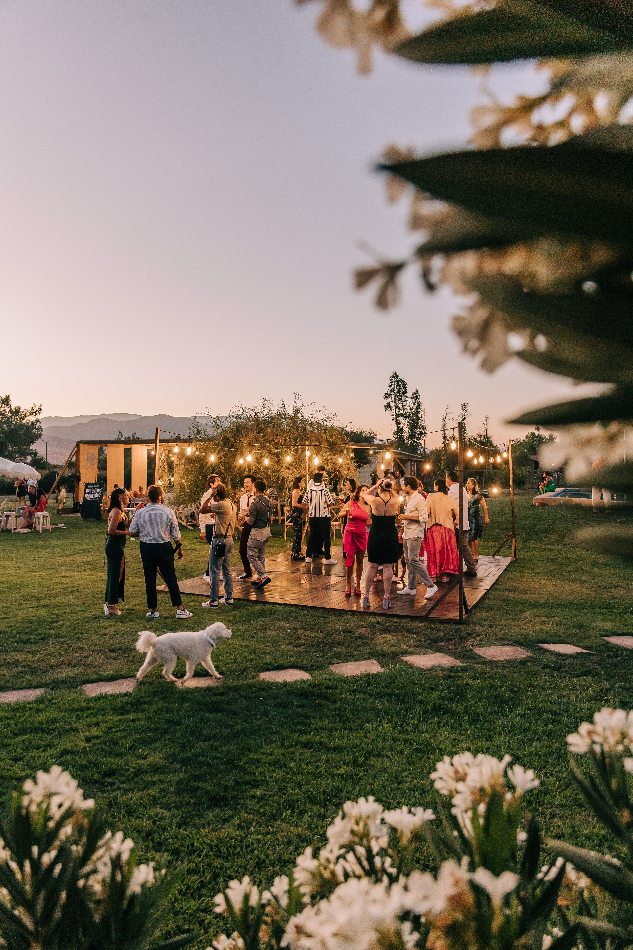 Pamela & Patricio. Fotógrafa familiar Santiago y Chile Anna Almazova