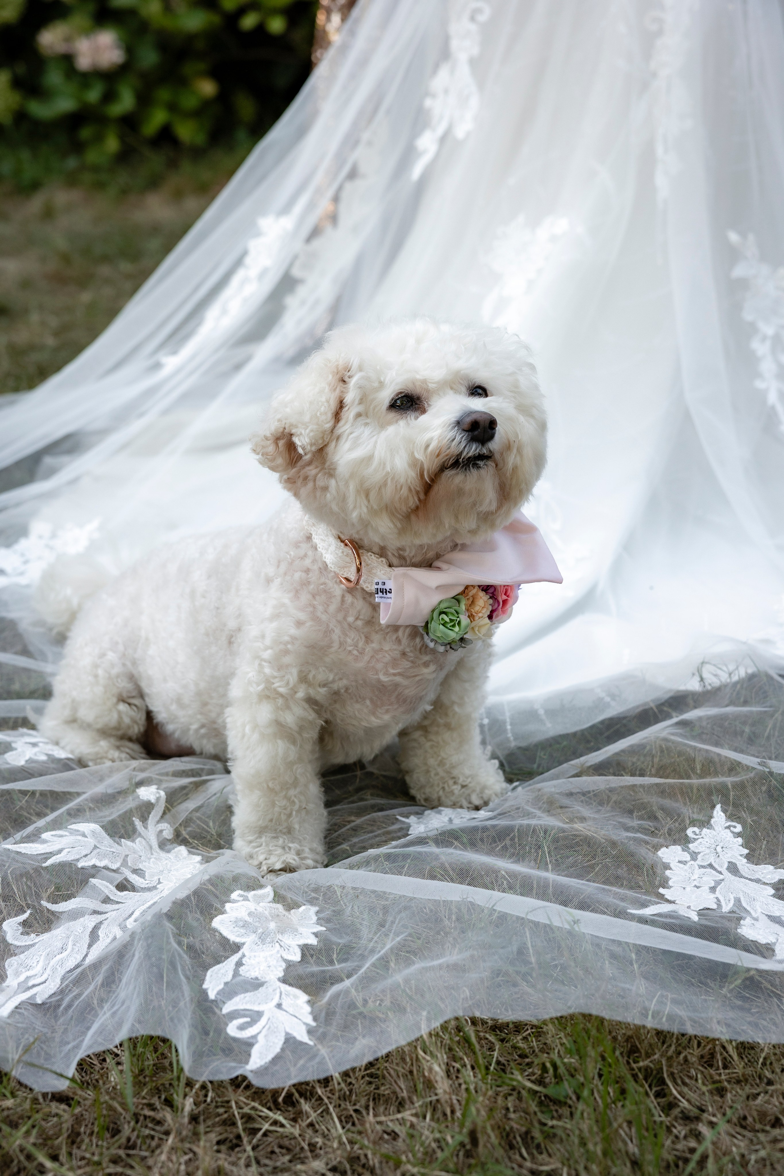 Château d’Oche. Eugénie Smirnova — Photographe à Toulouse et dans le Sud-Ouest