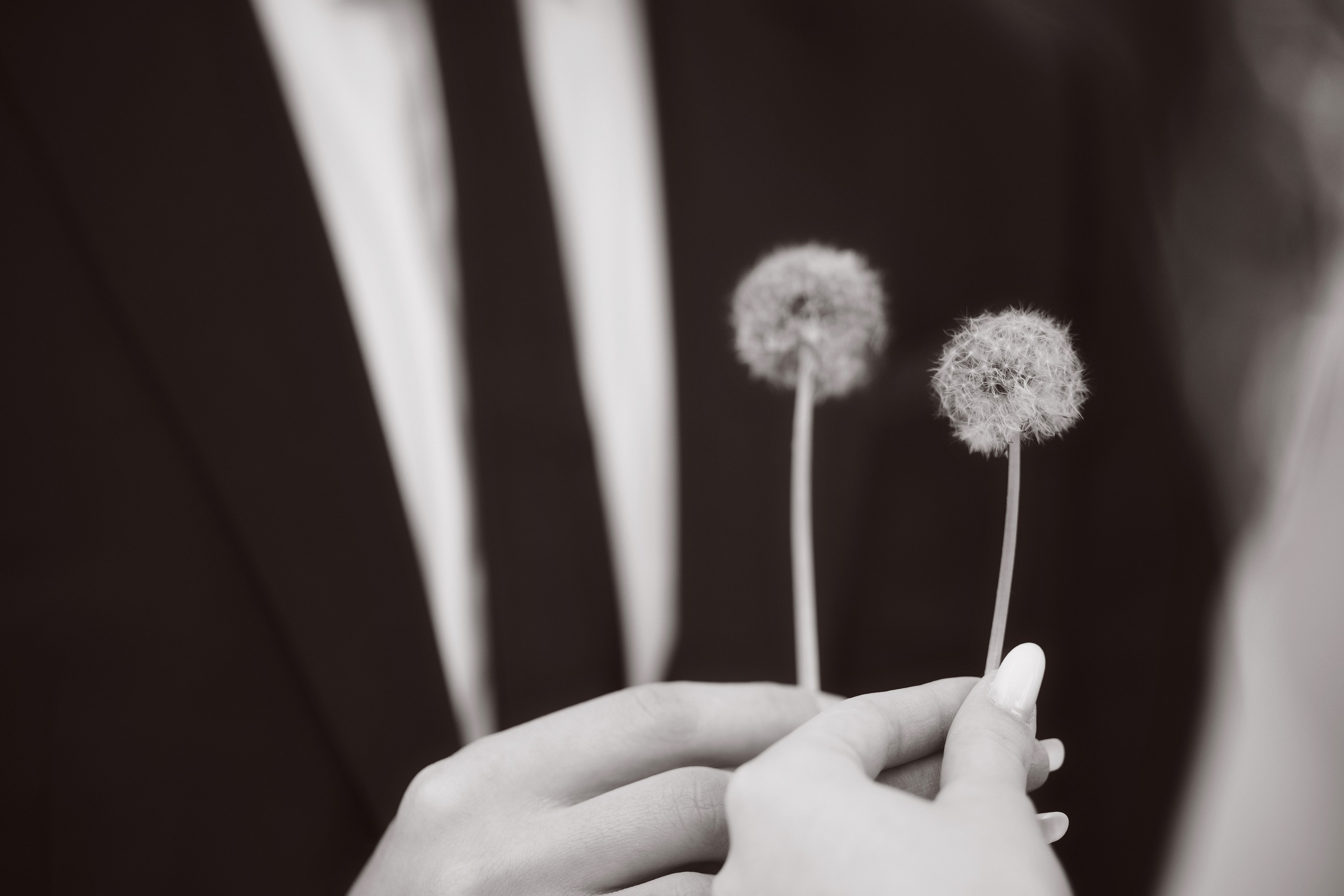 Ceremonie Civila Andreea si Claudiu. Laurentiu Stefan StoryTeller