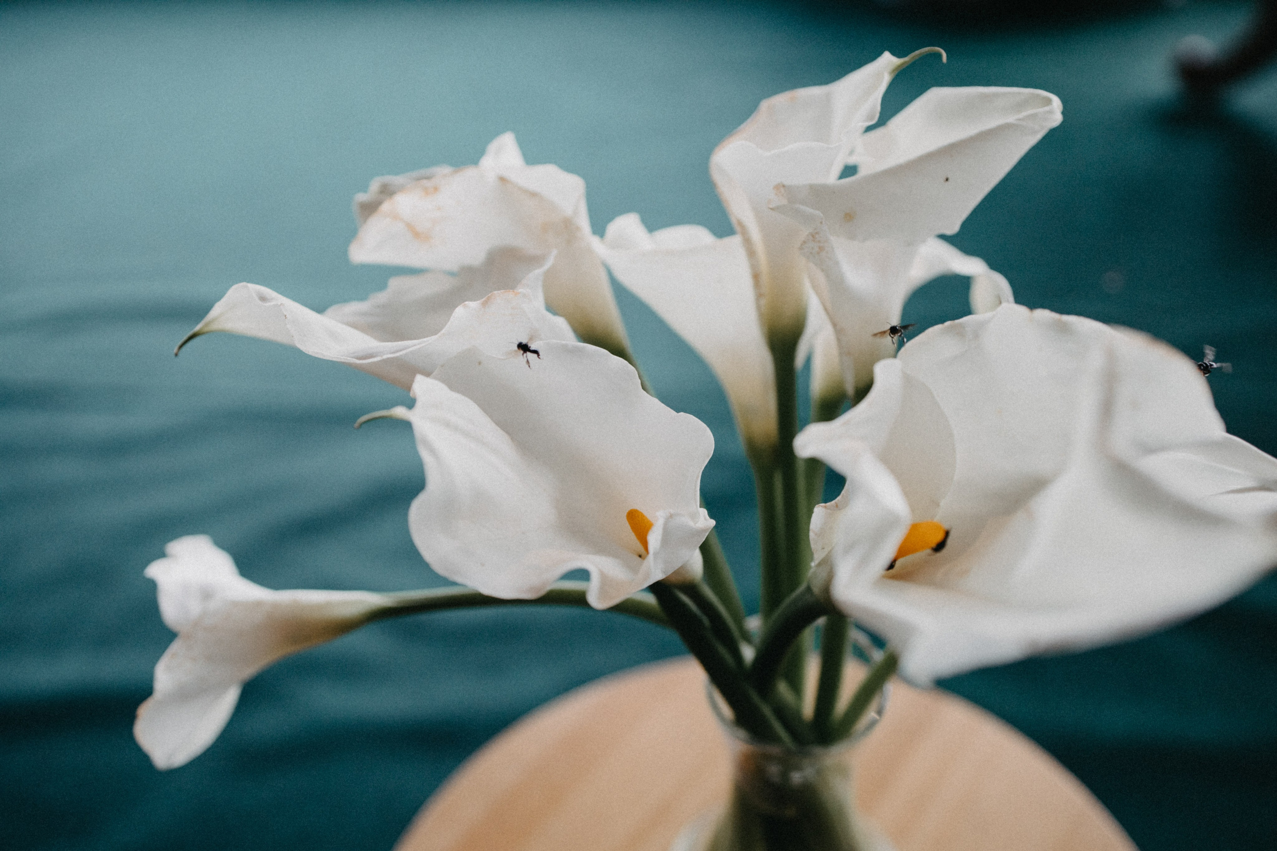 T & R — Um casamento pra lá de incrível!. Fotografia de casamento em Belo Horizonte
