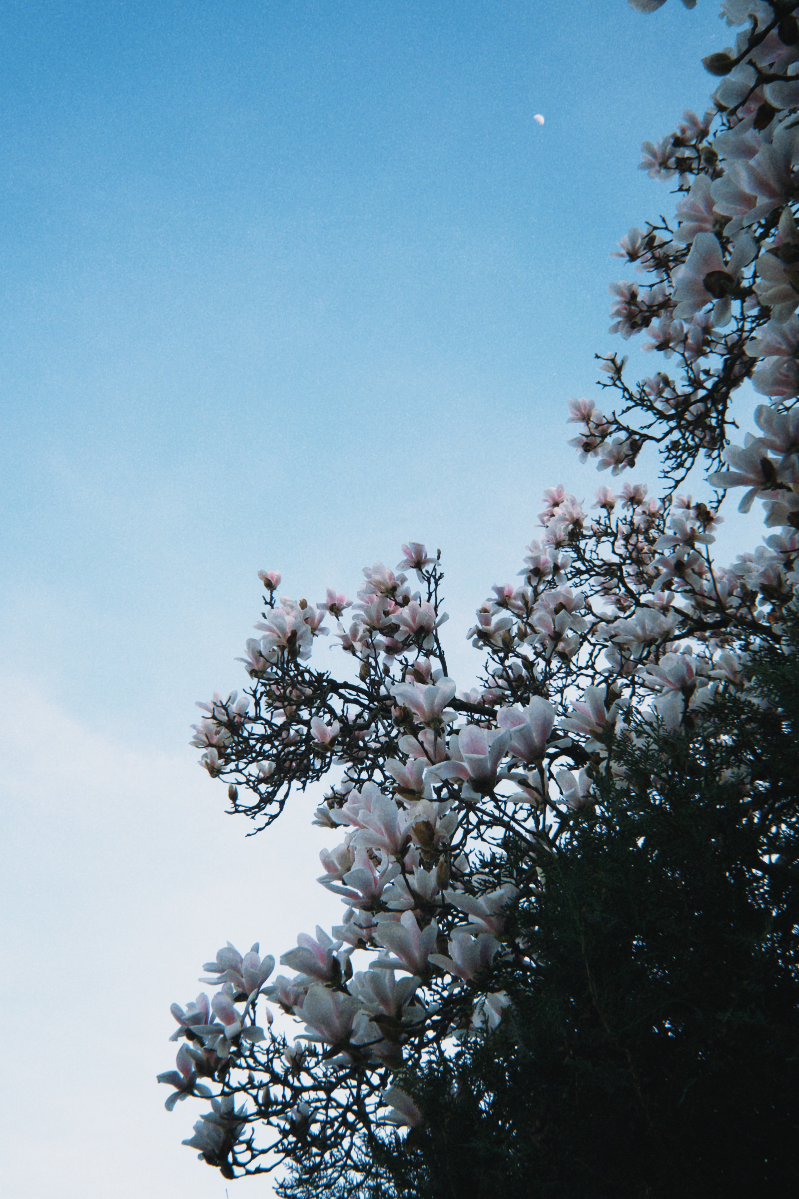 TRIP TO THE MOUNTAINS. Marina Kálcheva – Photographer & Visual Artist in Barcelona