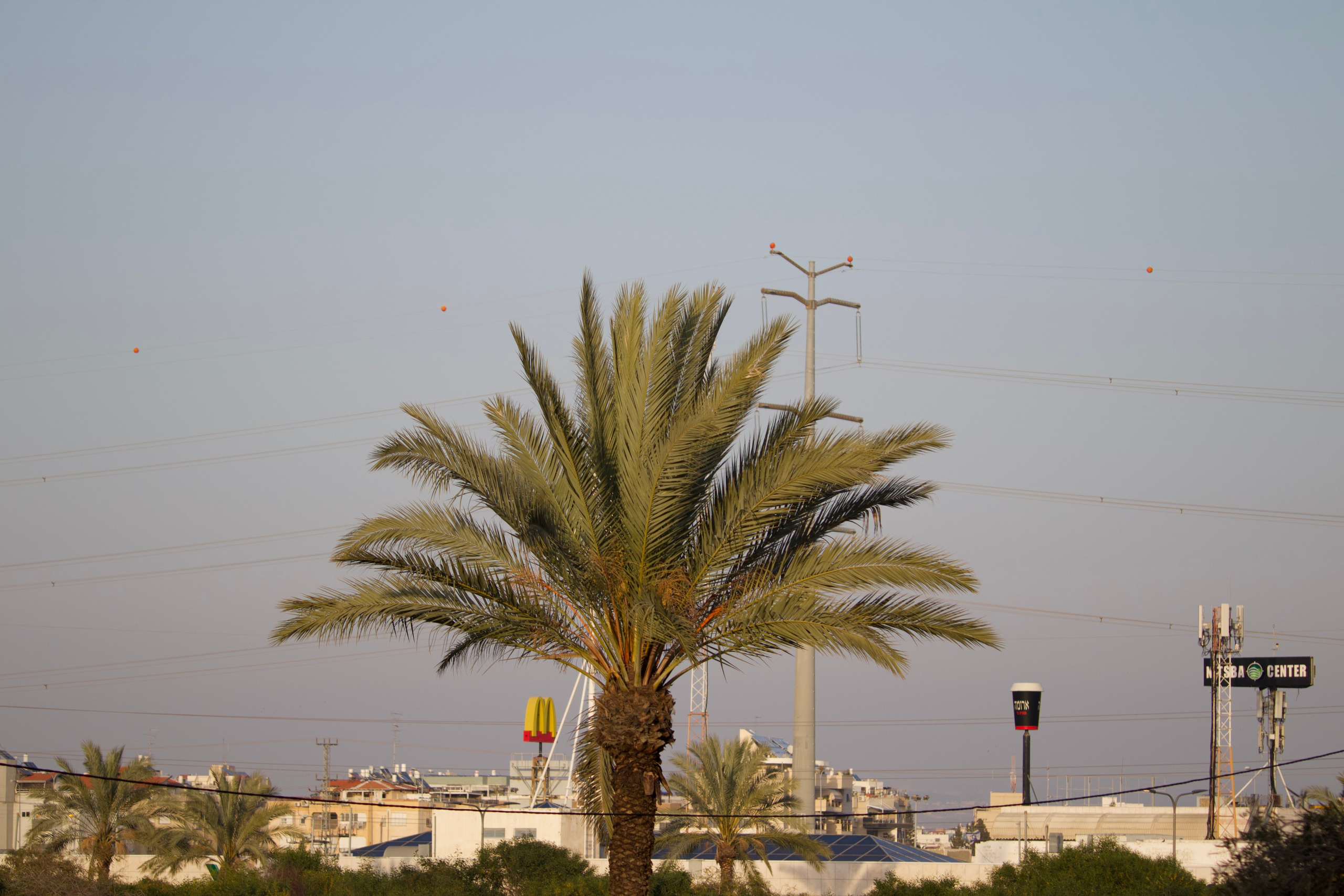 ISRAEL and beautiful people