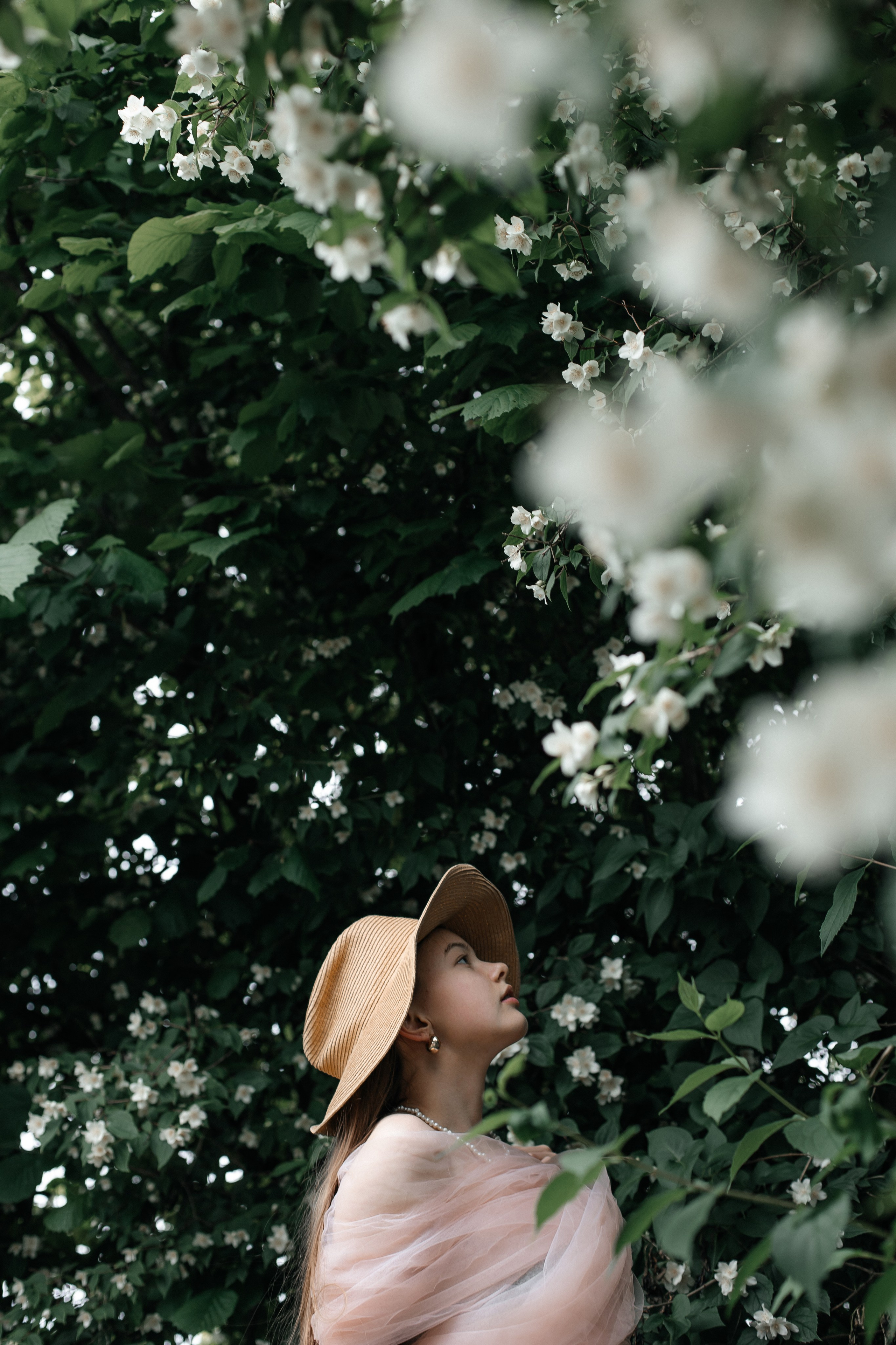 Foto in Jasmin. PHOTOgrapher Germany MARBURG