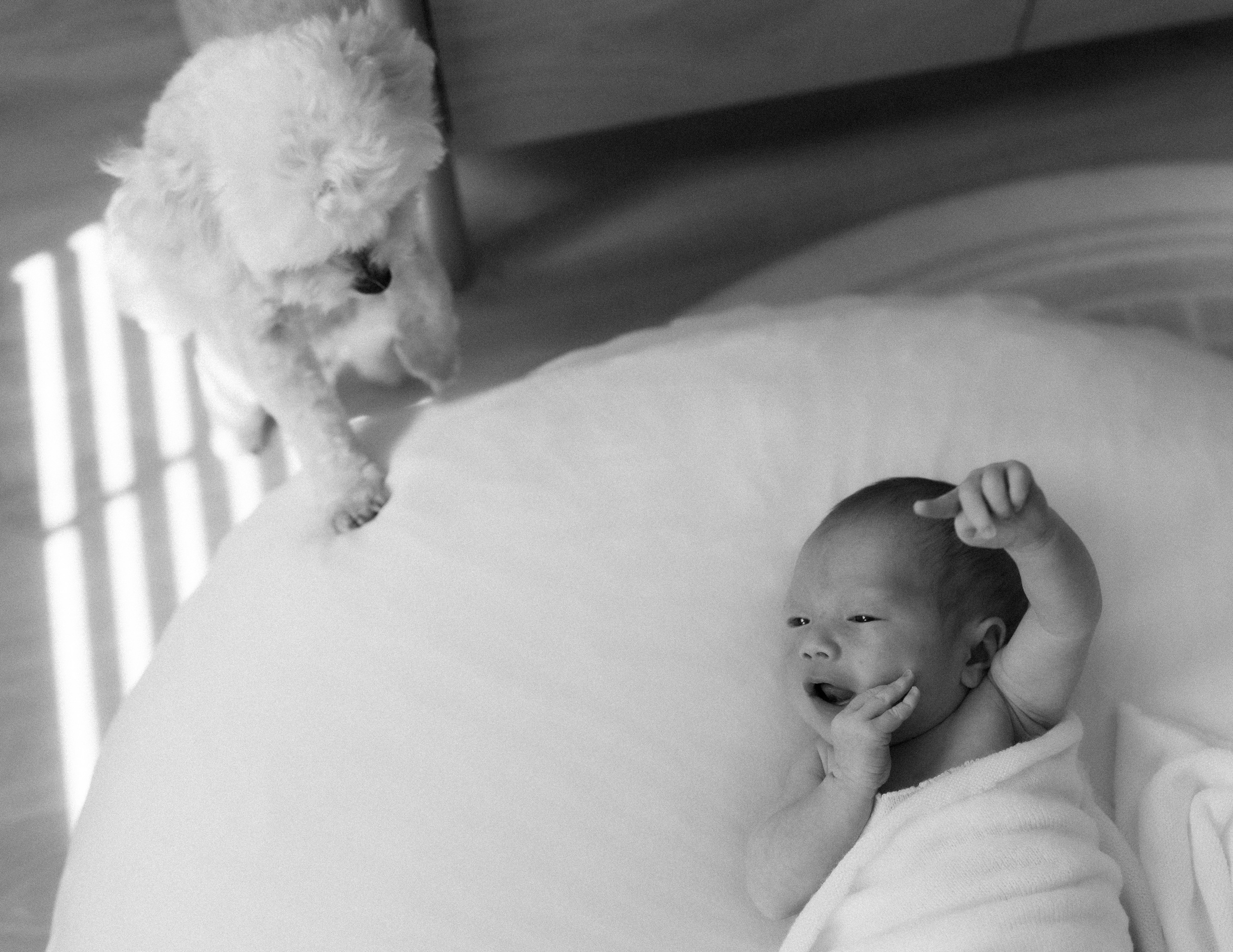 Lifestyle newborn. Los Angeles maternity, boudoir and family photographer