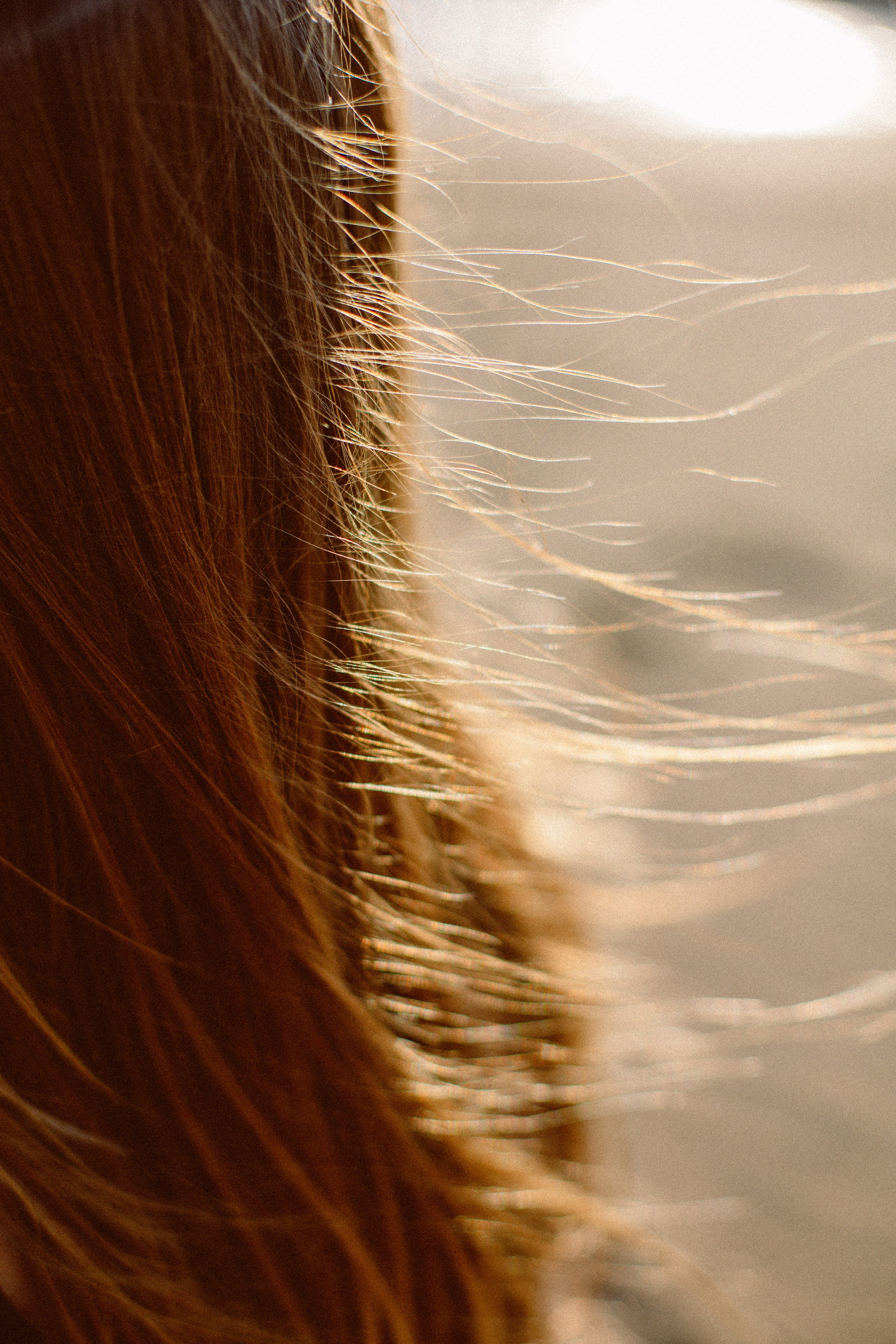 Enzo Organic. Family and business portrait’s photographer in Cyprus