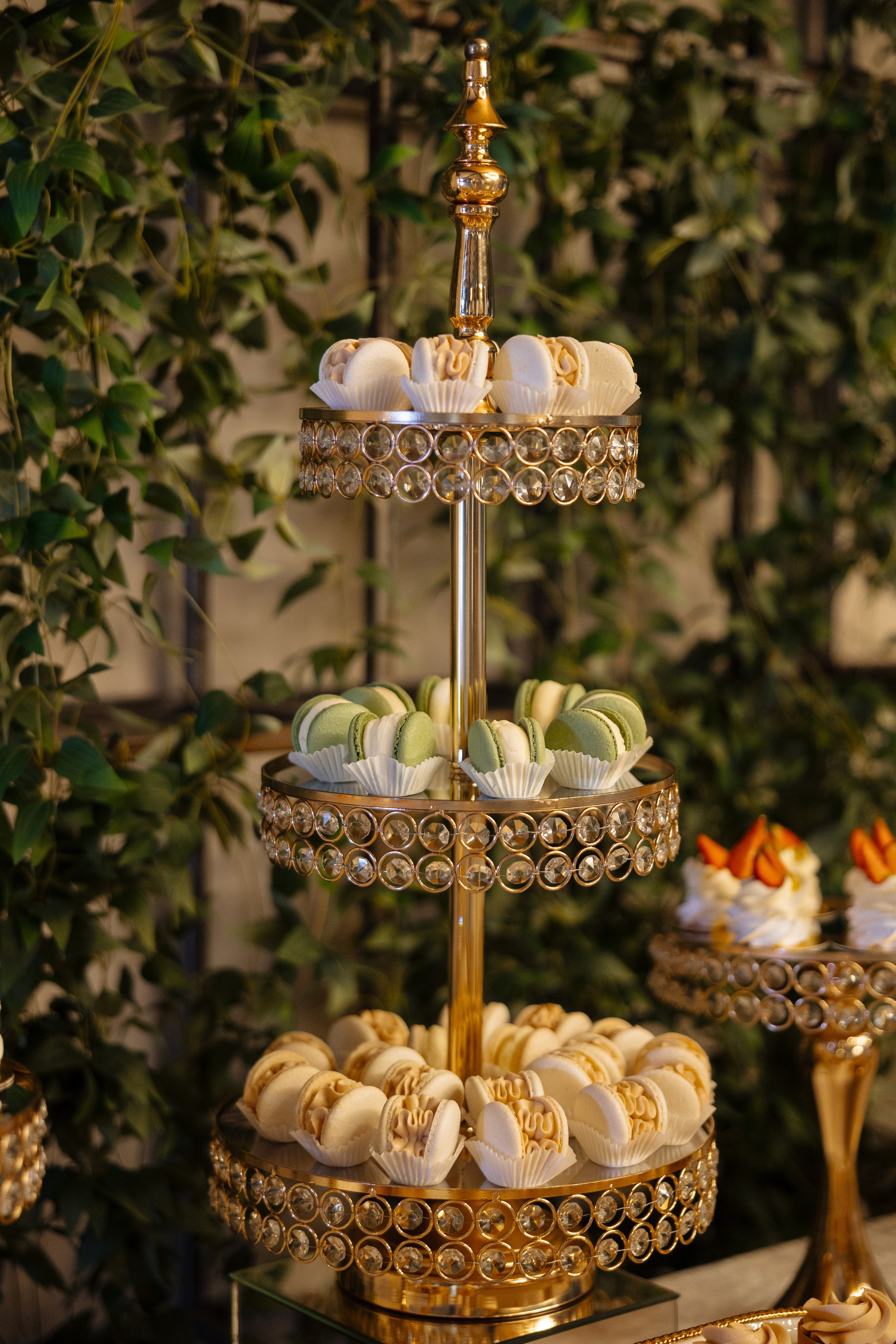 Diana Vlad. Ірина Терещук