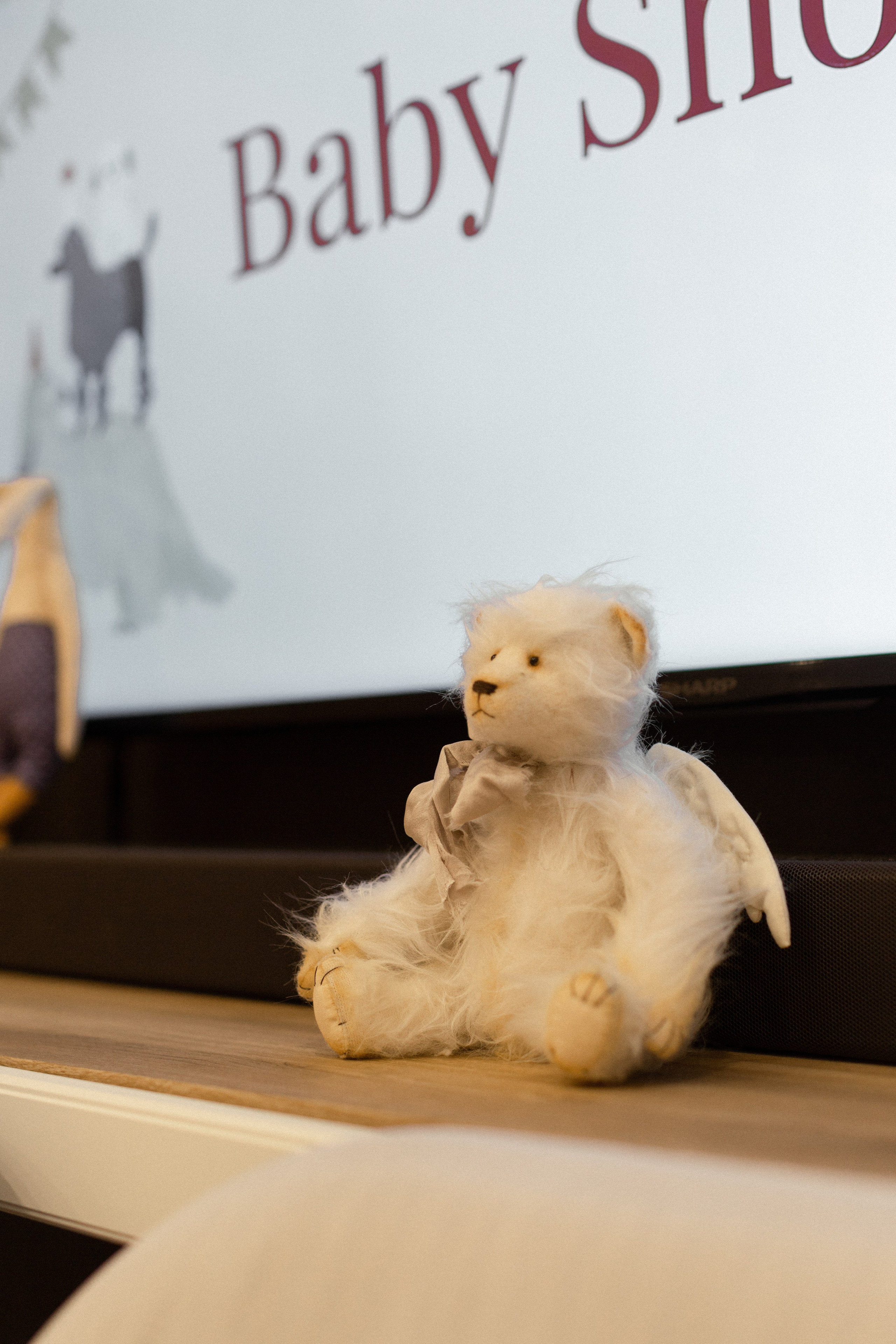 Asya Baby Shower. Photographer Vladmir Gladkov