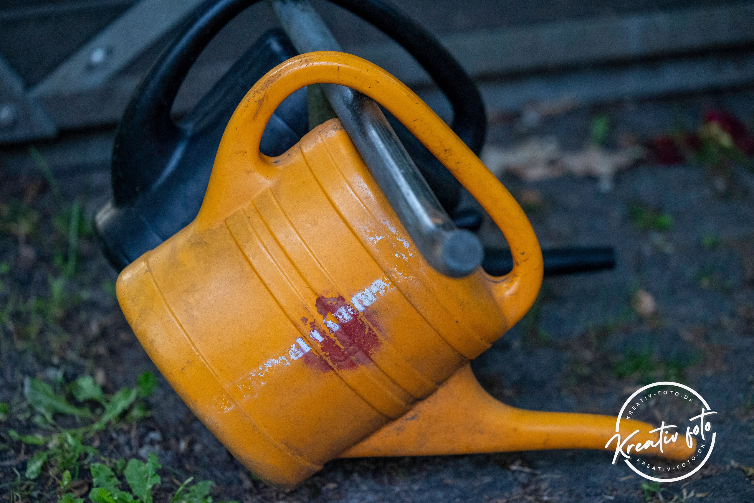 Efterår. Fotograf Aarhus | Portrætfoto Århus | Flotte billeder