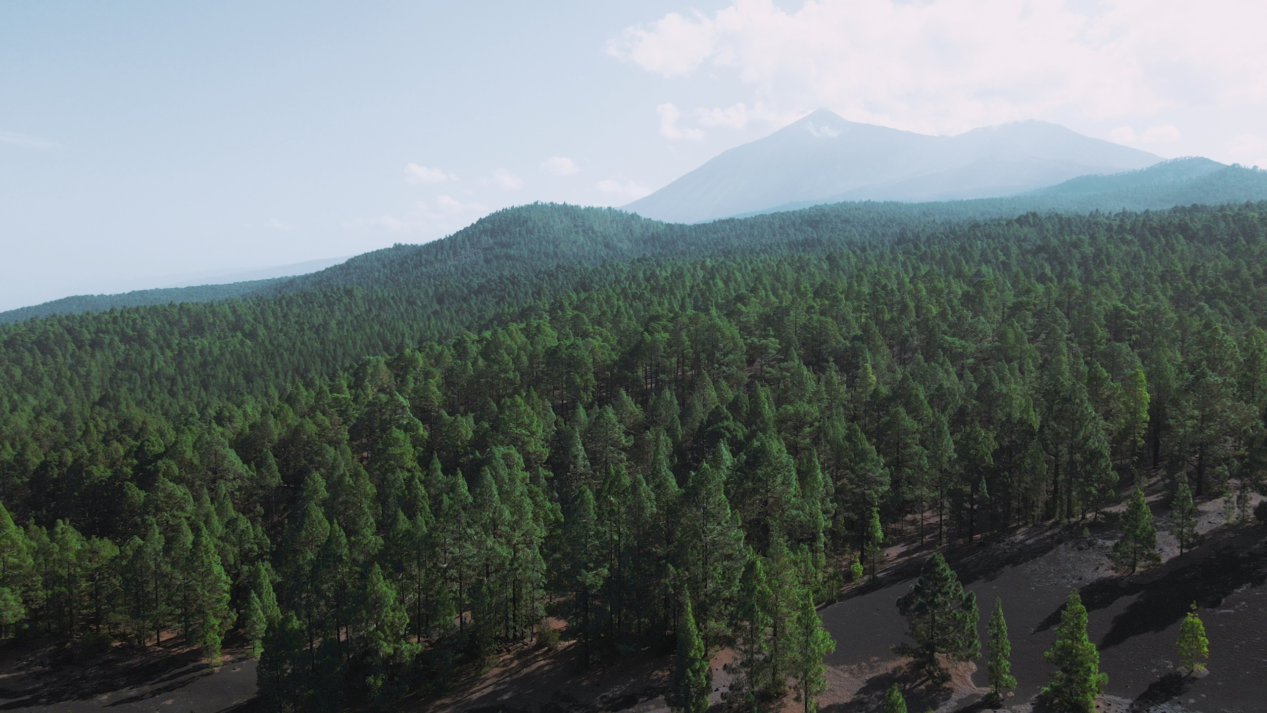 Max Kazakov — VIDEOGRAPHER in Tenerife, Canary Islands, Spain, Available worldwide