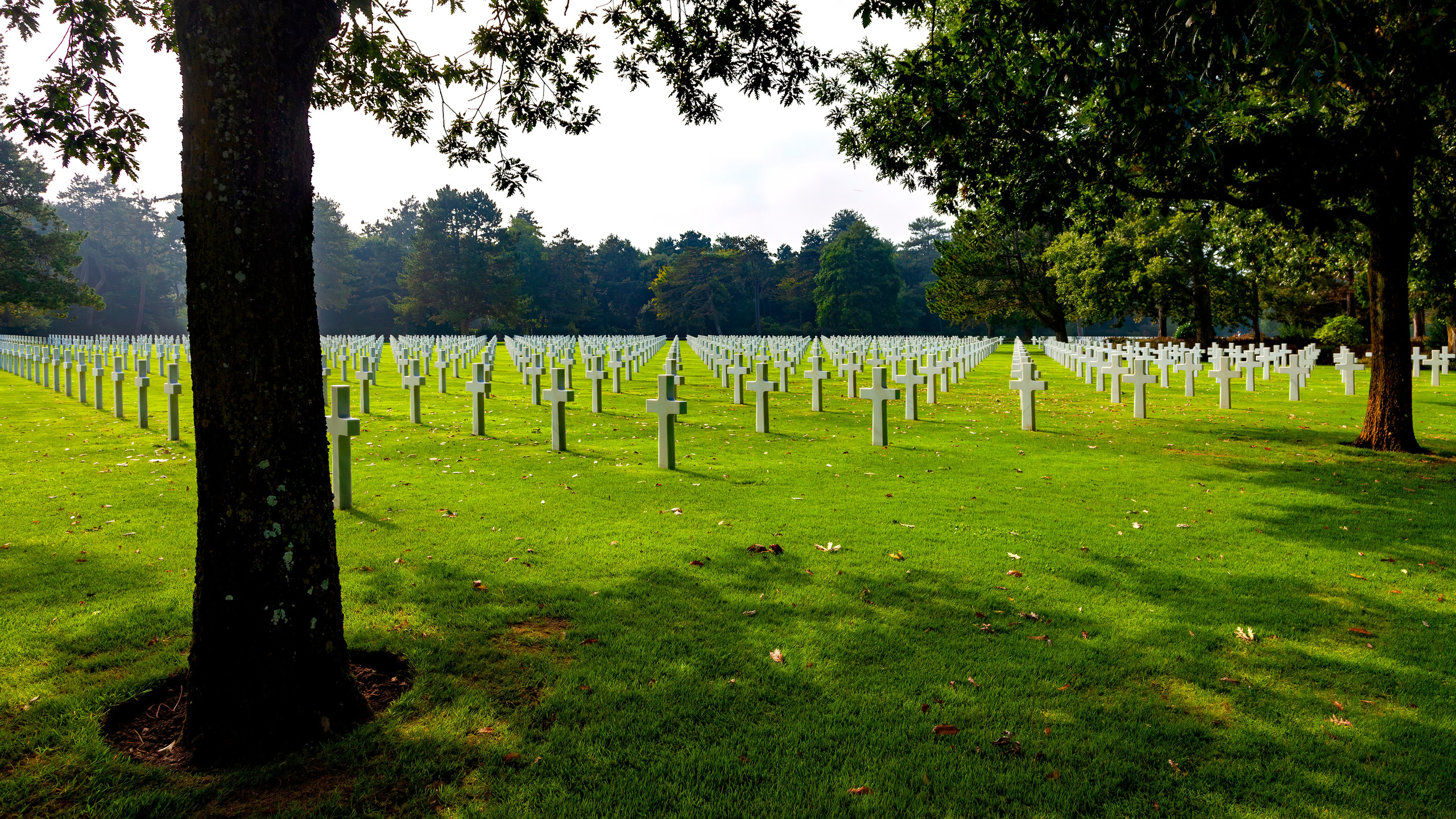 179.Normandy American Cemetery.France.19.9.2024. Путешествия в формате 360......