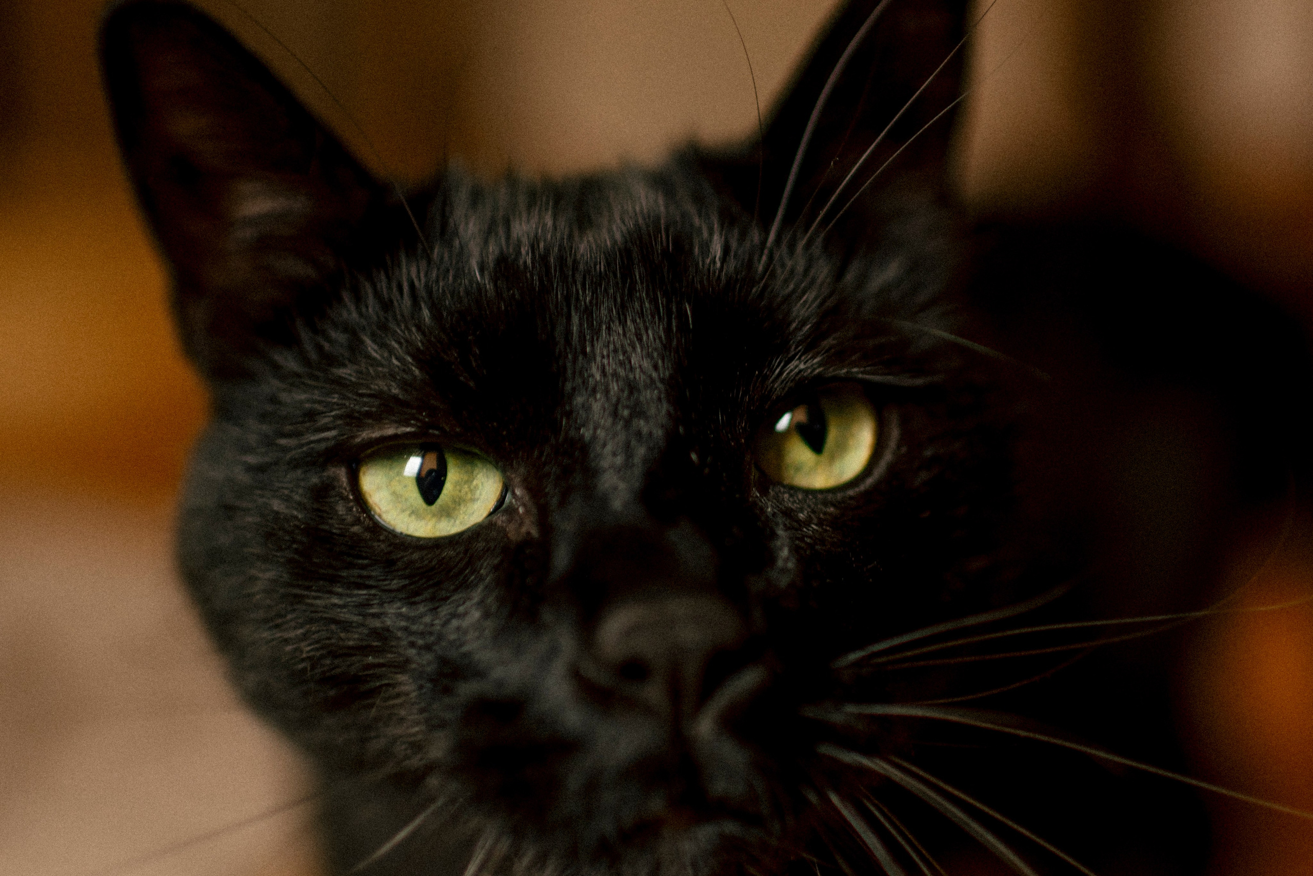 Malwina Rafael and Klara. Polina Sobol — family & documentary photographer in Bern. Outdoor & urban photo sessions for families, kids and couples