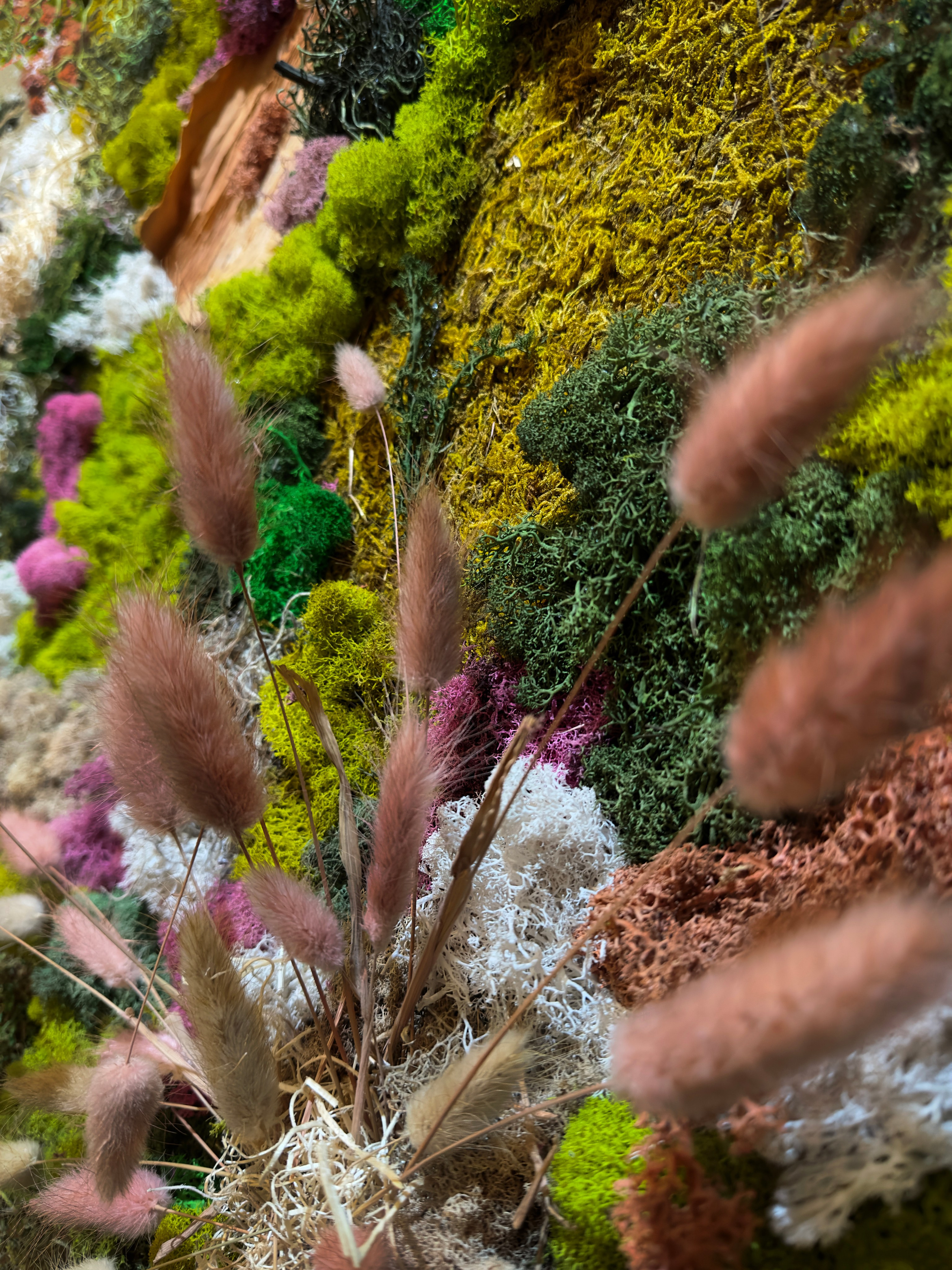 Anna & Moss magic, Content. Yana Bobrova | Artistic Photography