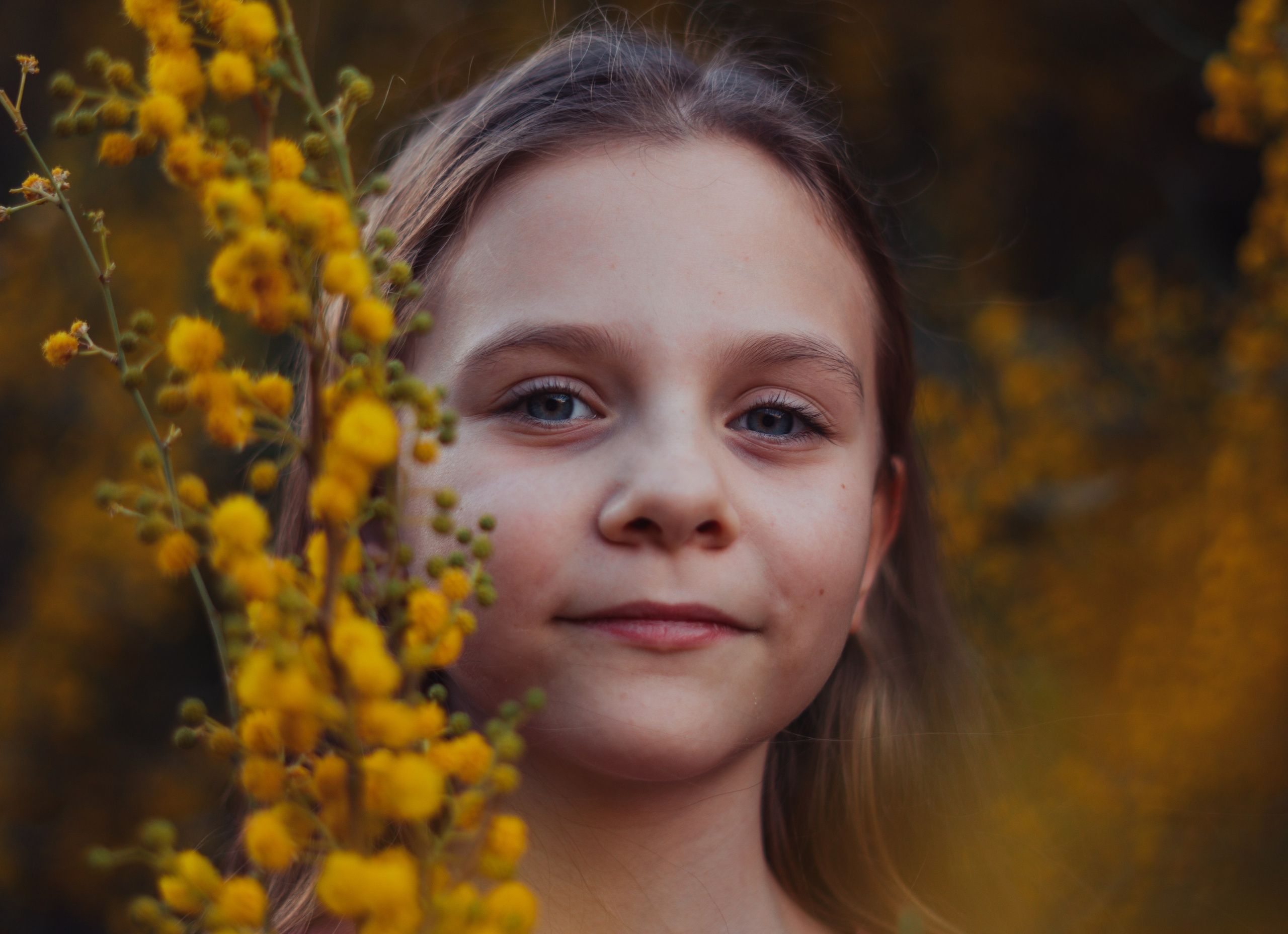 Мимоза. Анастасия Благова — Твой фотограф в Малаге 🇪🇸